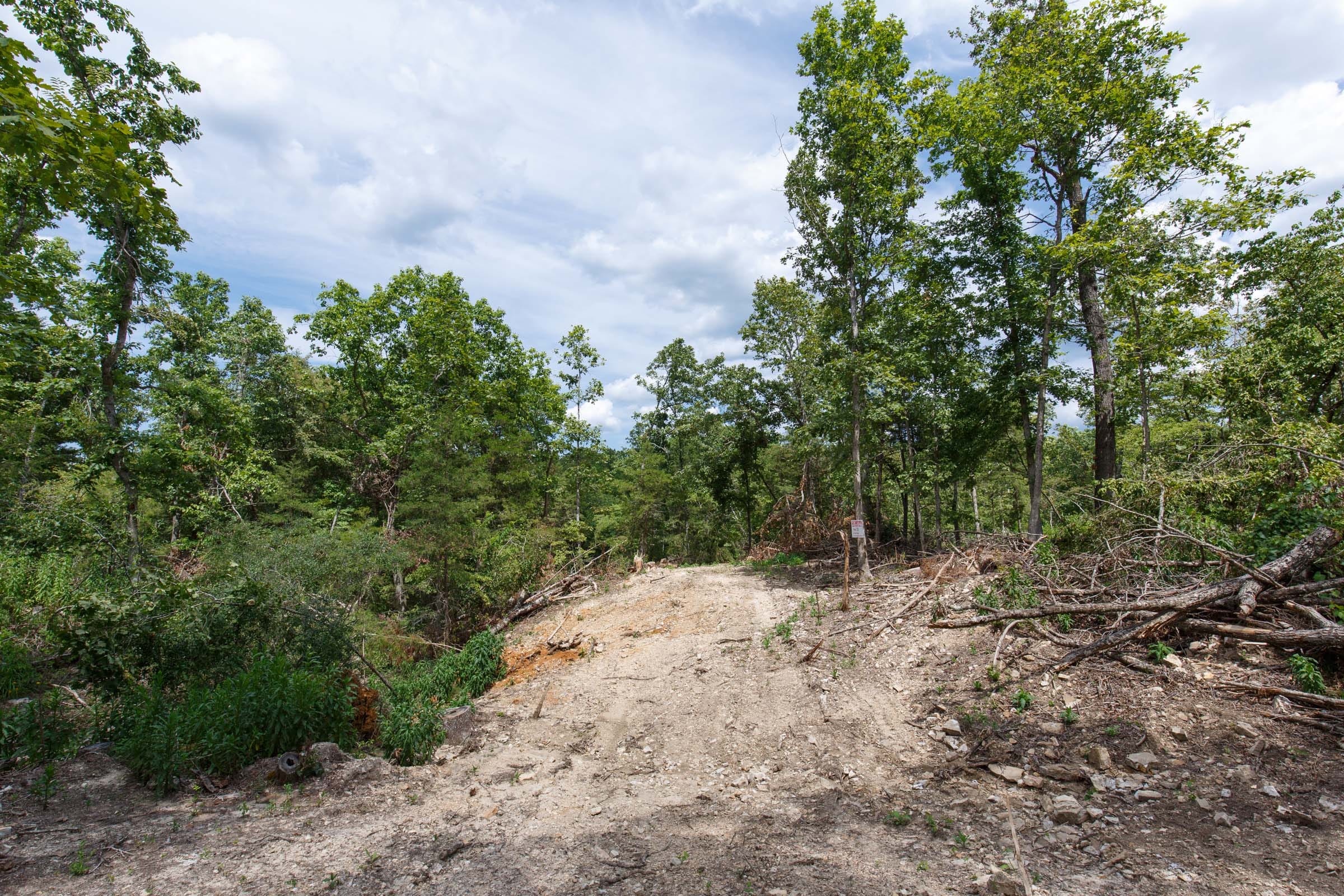 Wildwood Tract 13 photo 6