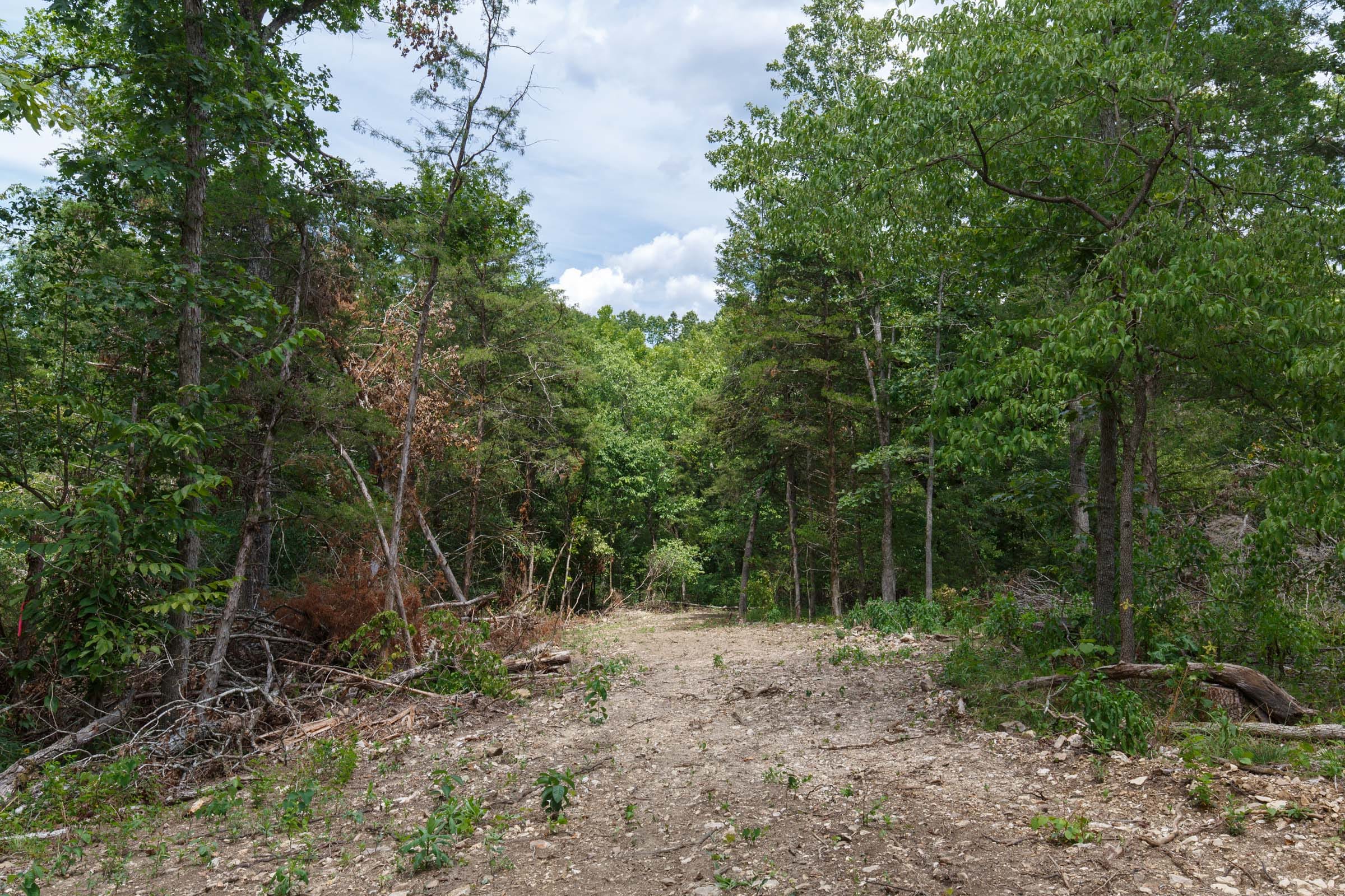 Wildwood Tract 13 photo 1