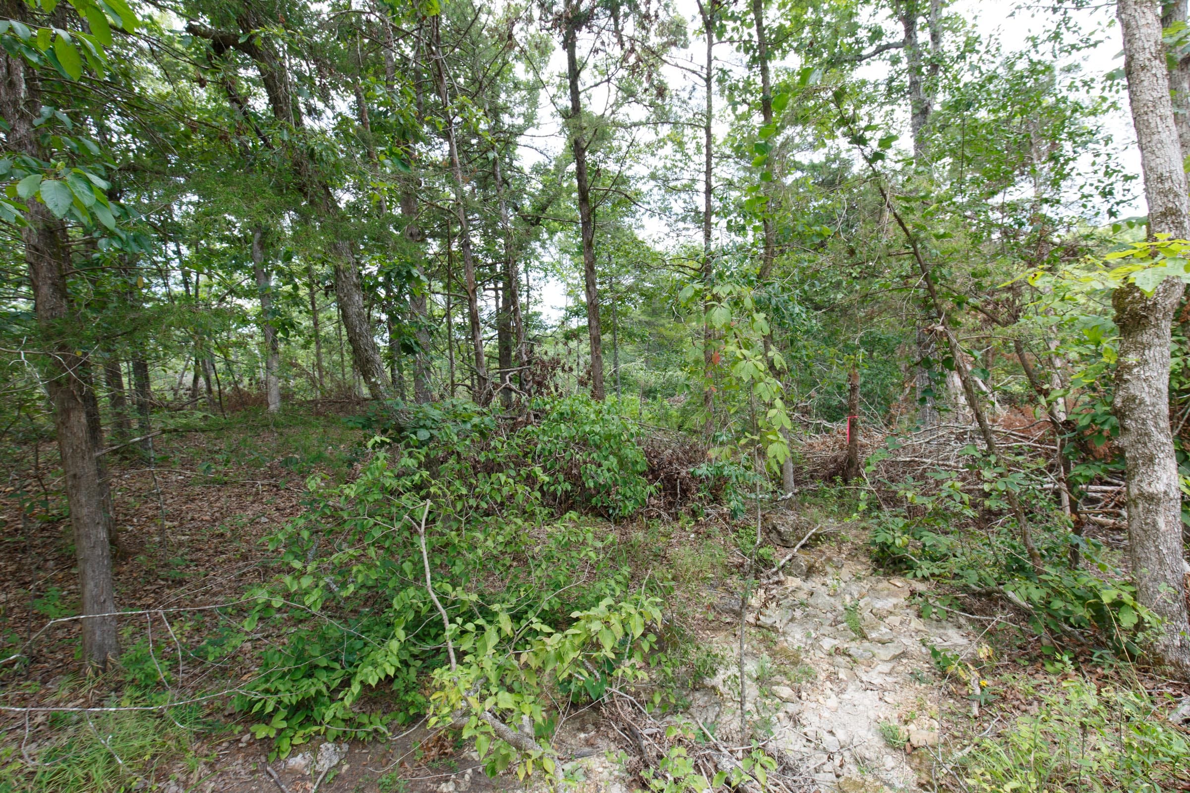 Wildwood Tract 13 photo 7