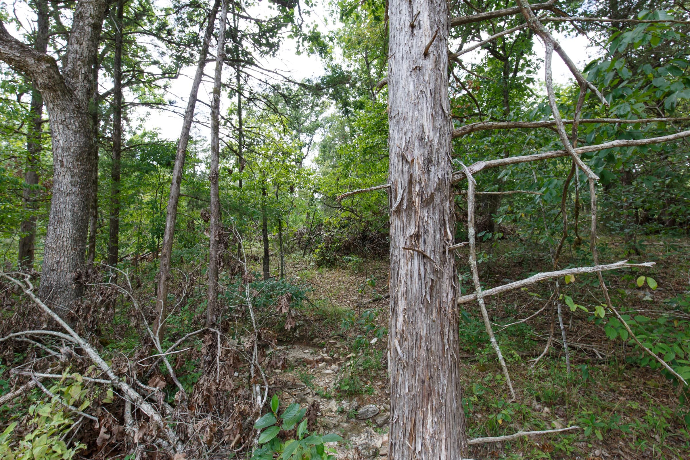 Wildwood Tract 13 photo 9