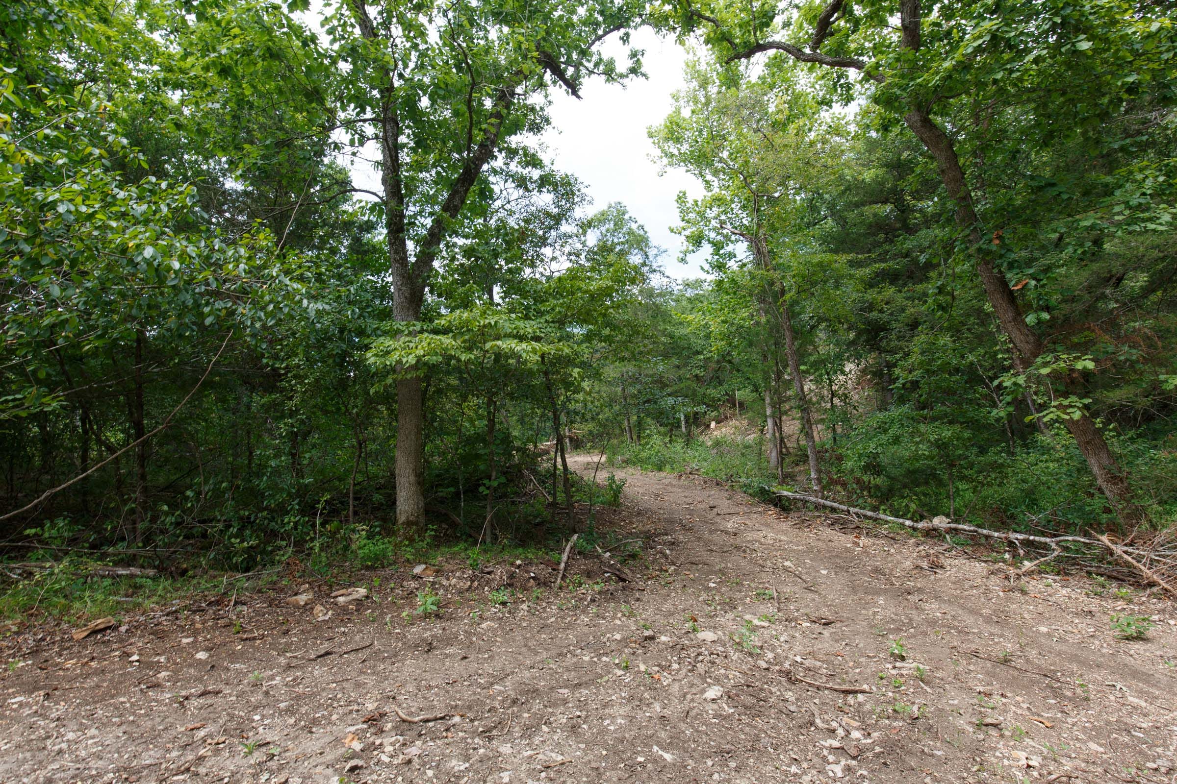 Wildwood Tract 13 photo 8