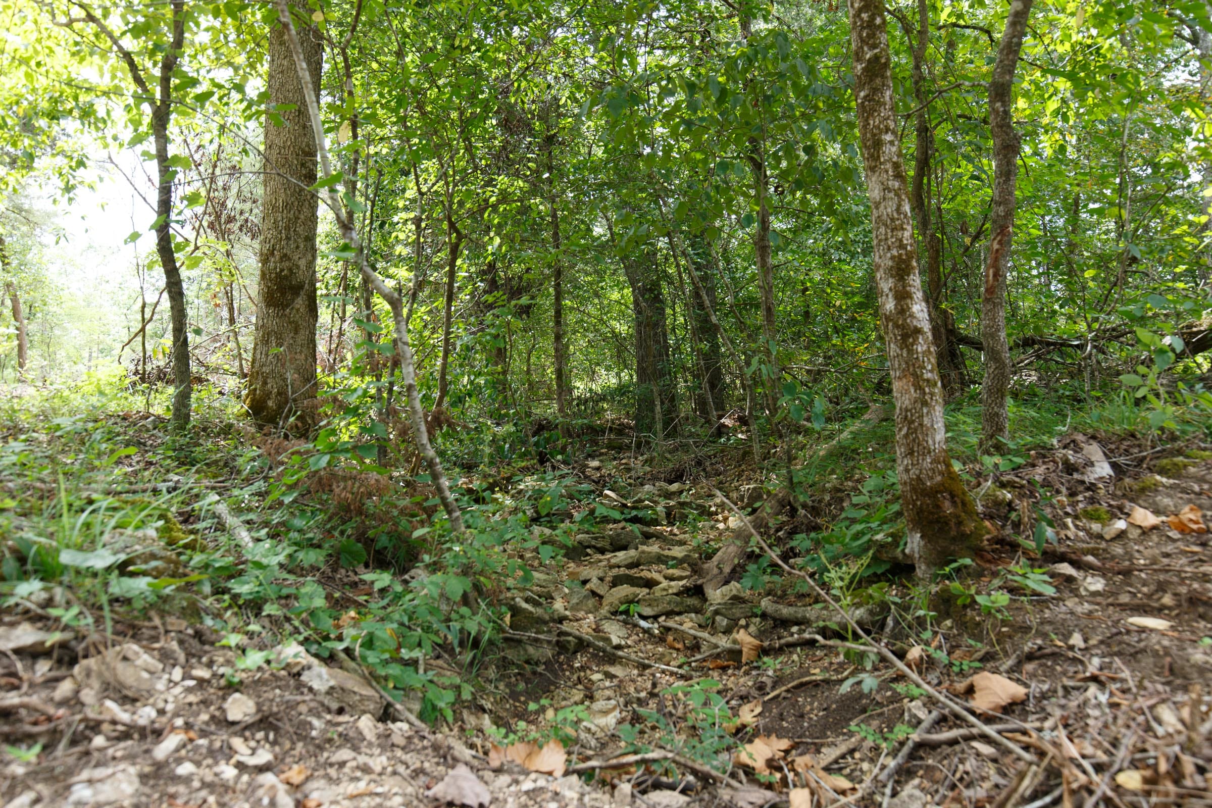 Wildwood Tract 13 photo 3