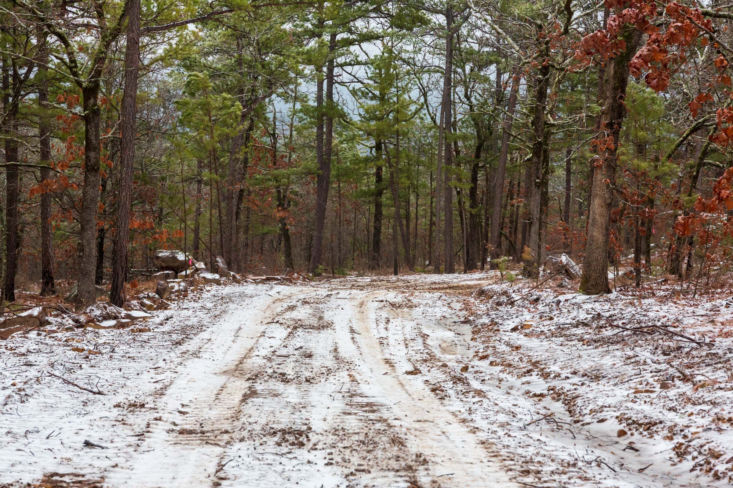 Stone Bridge Phase IV Tract 260 photo 6