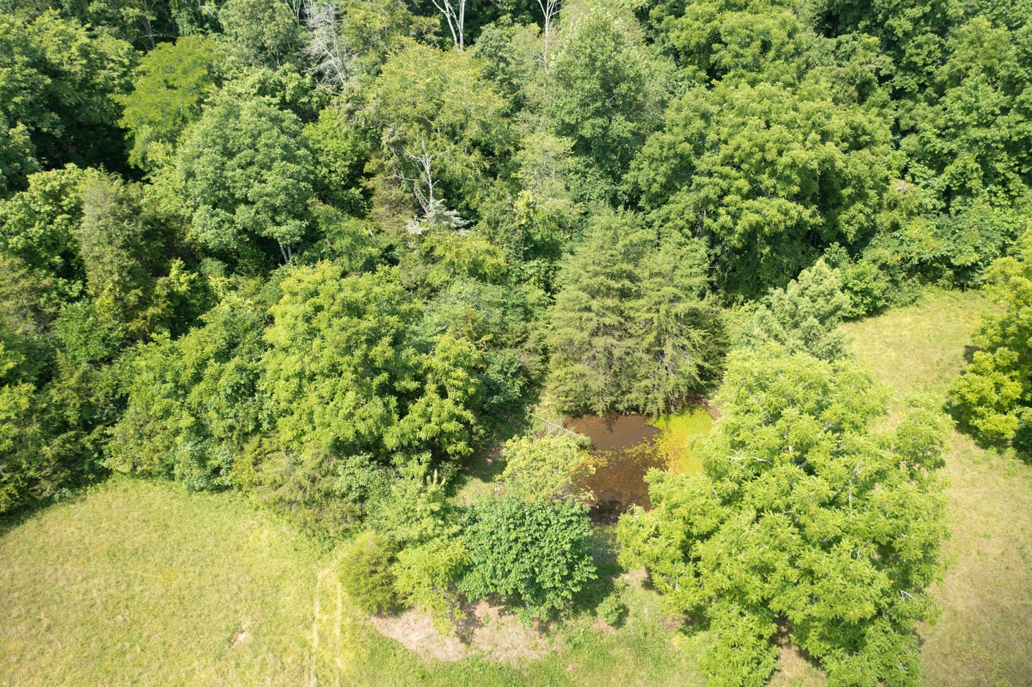 Rolling Hills Tract 17 photo 16
