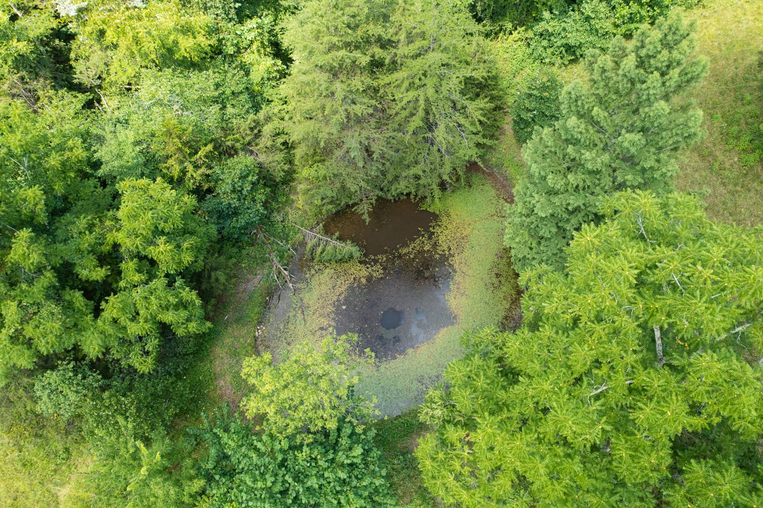Rolling Hills Tract 17 photo 3