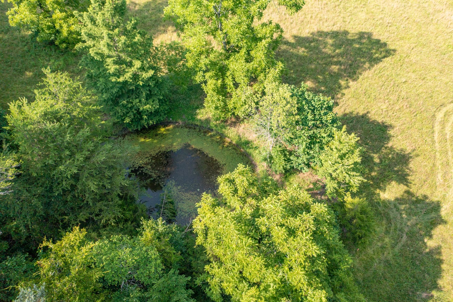 Rolling Hills Tract 17 photo 4