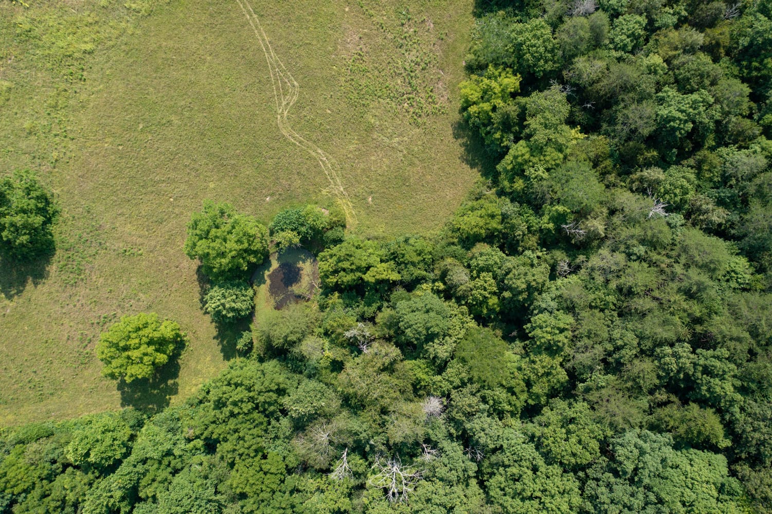 Rolling Hills Tract 17 photo 6