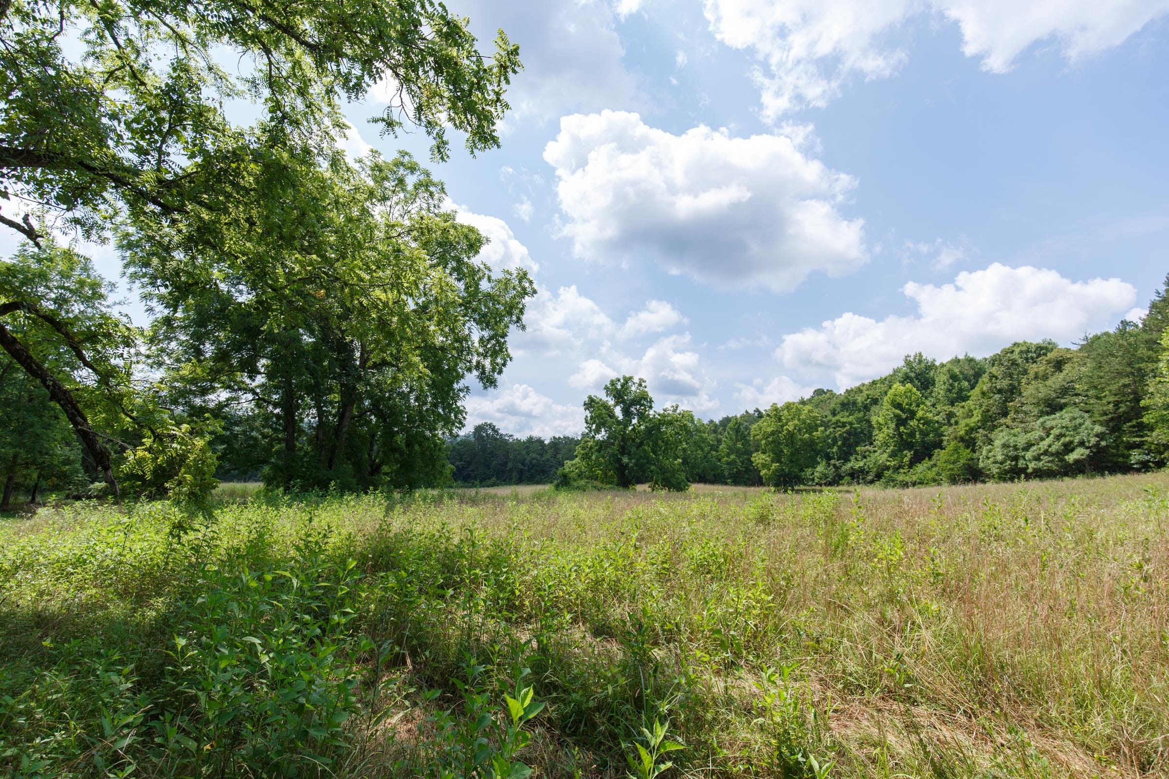 Rolling Hills Tract 17 photo 10