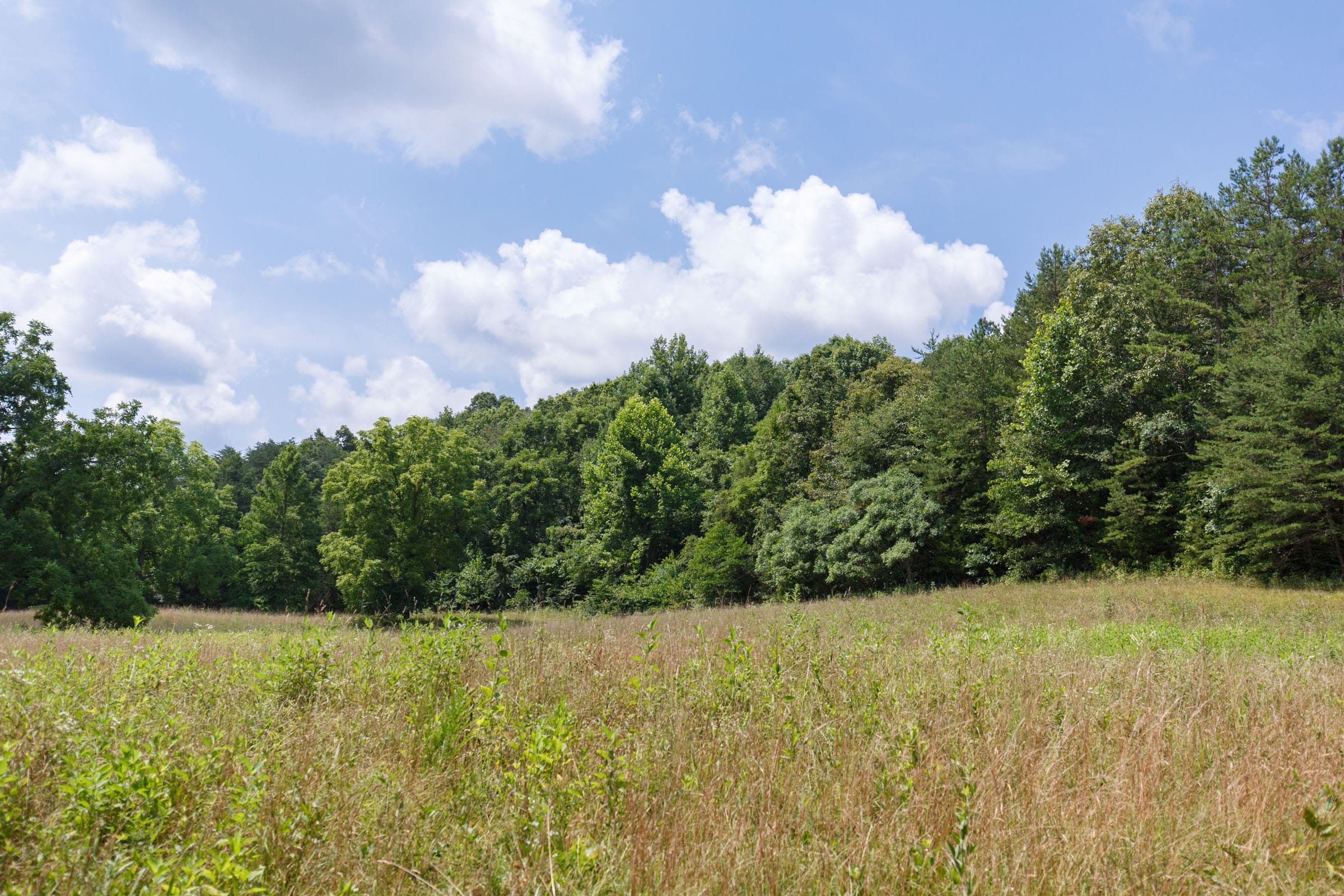 Rolling Hills Tract 17 photo 12