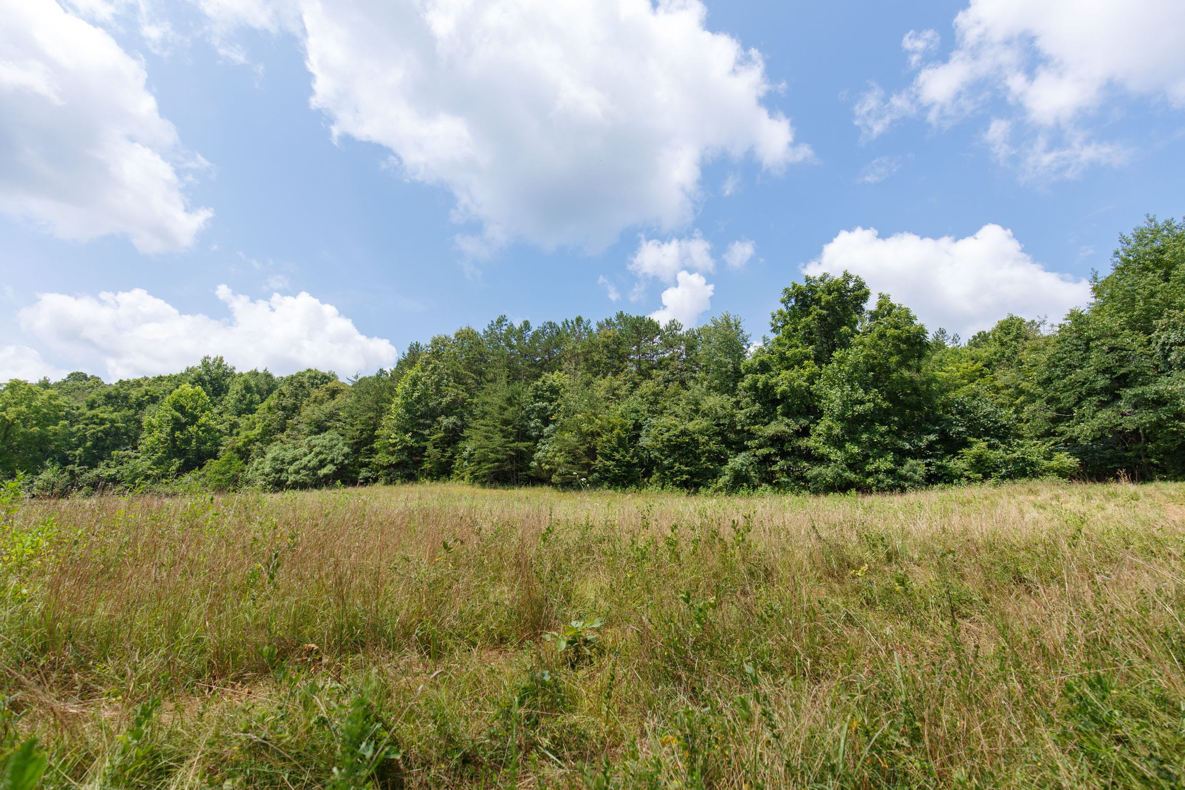 Rolling Hills Tract 17 photo 14
