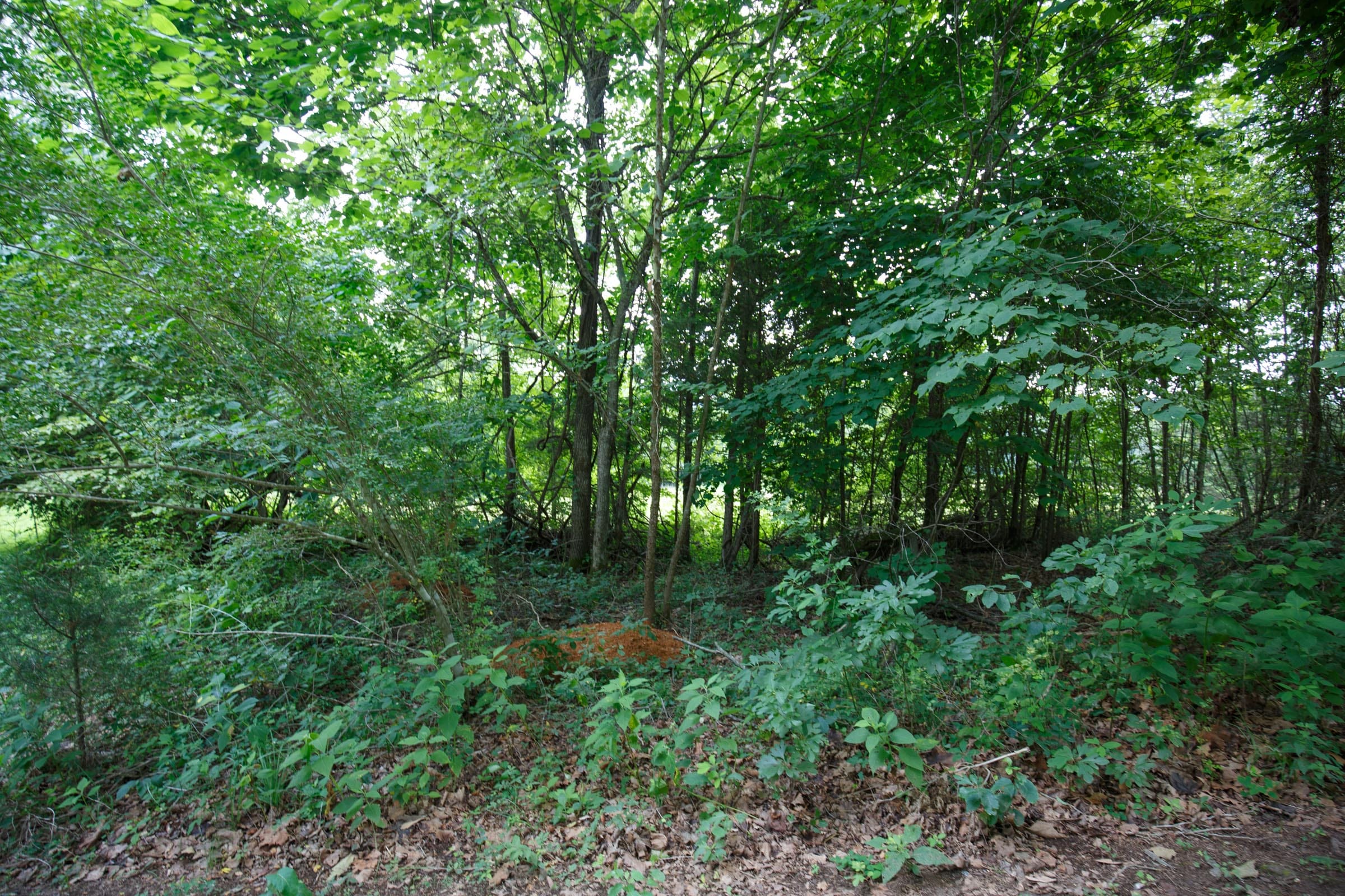 Rolling Hills Tract 17 photo 15