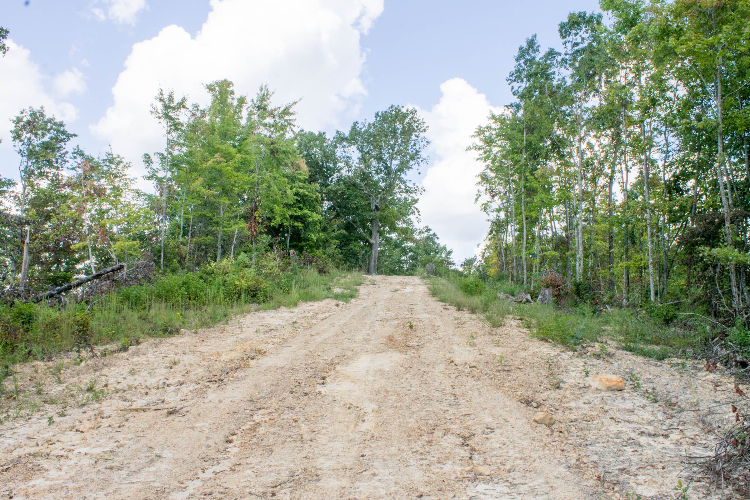 Buck Run Ridge Tract 9 photo 2