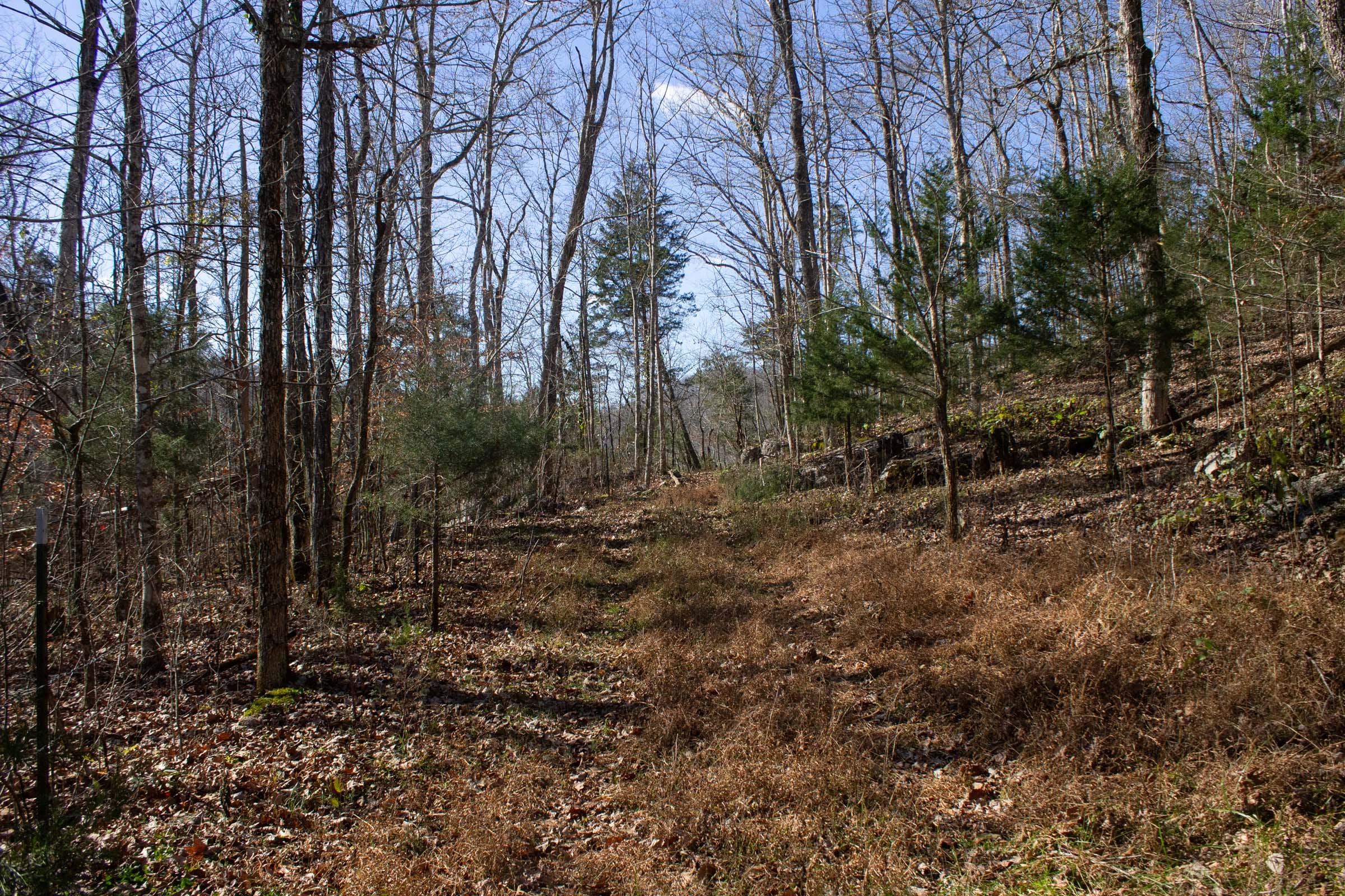 The Cliffs Tract 5 photo 3
