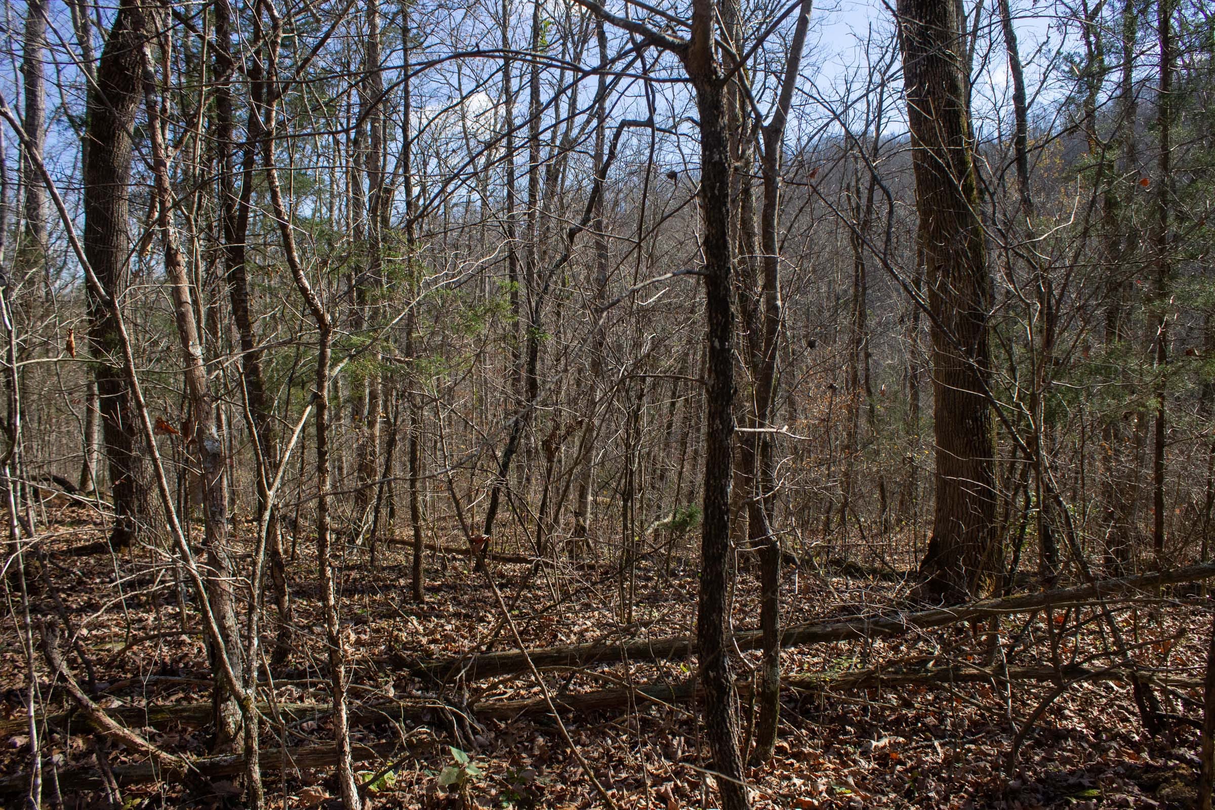 The Cliffs Tract 5 photo 2