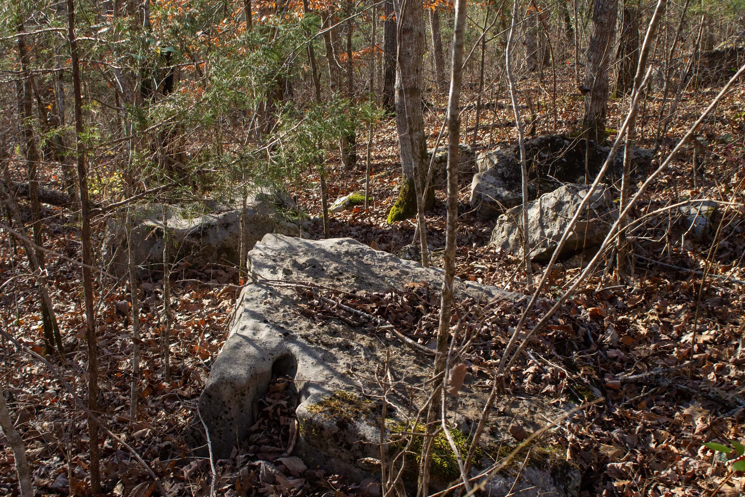 The Cliffs Tract 5 photo 4
