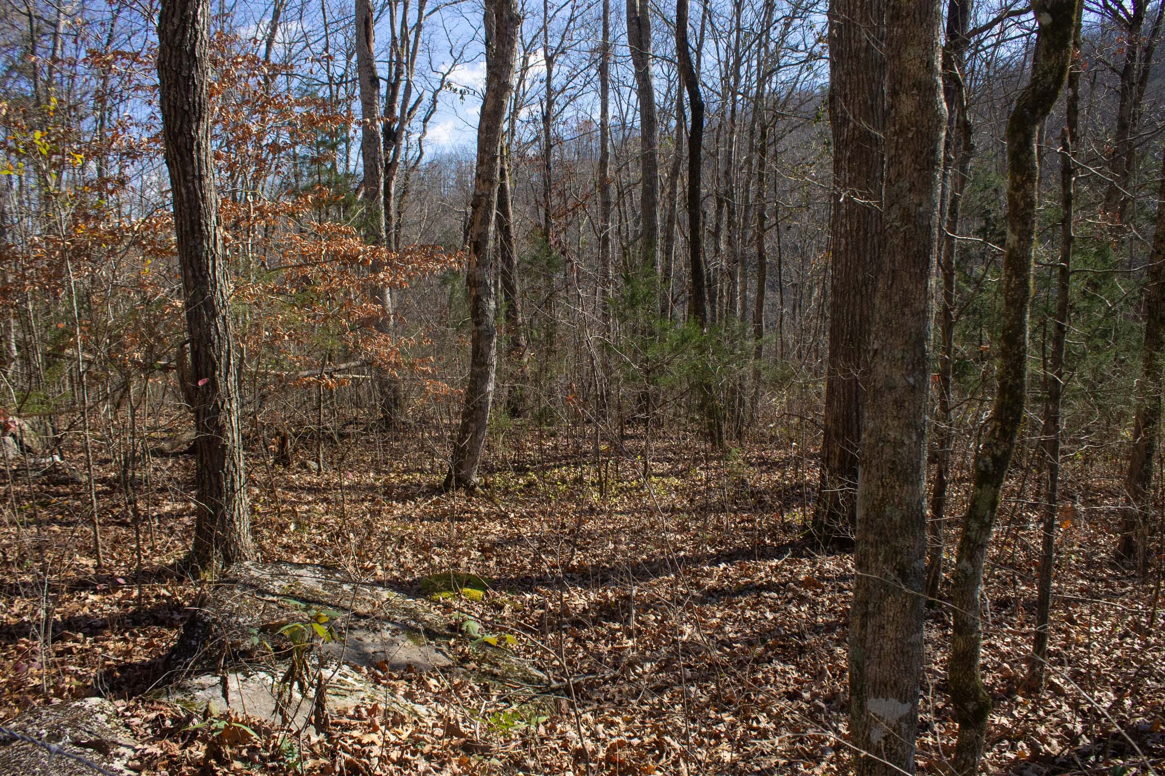 The Cliffs Tract 5 photo 5