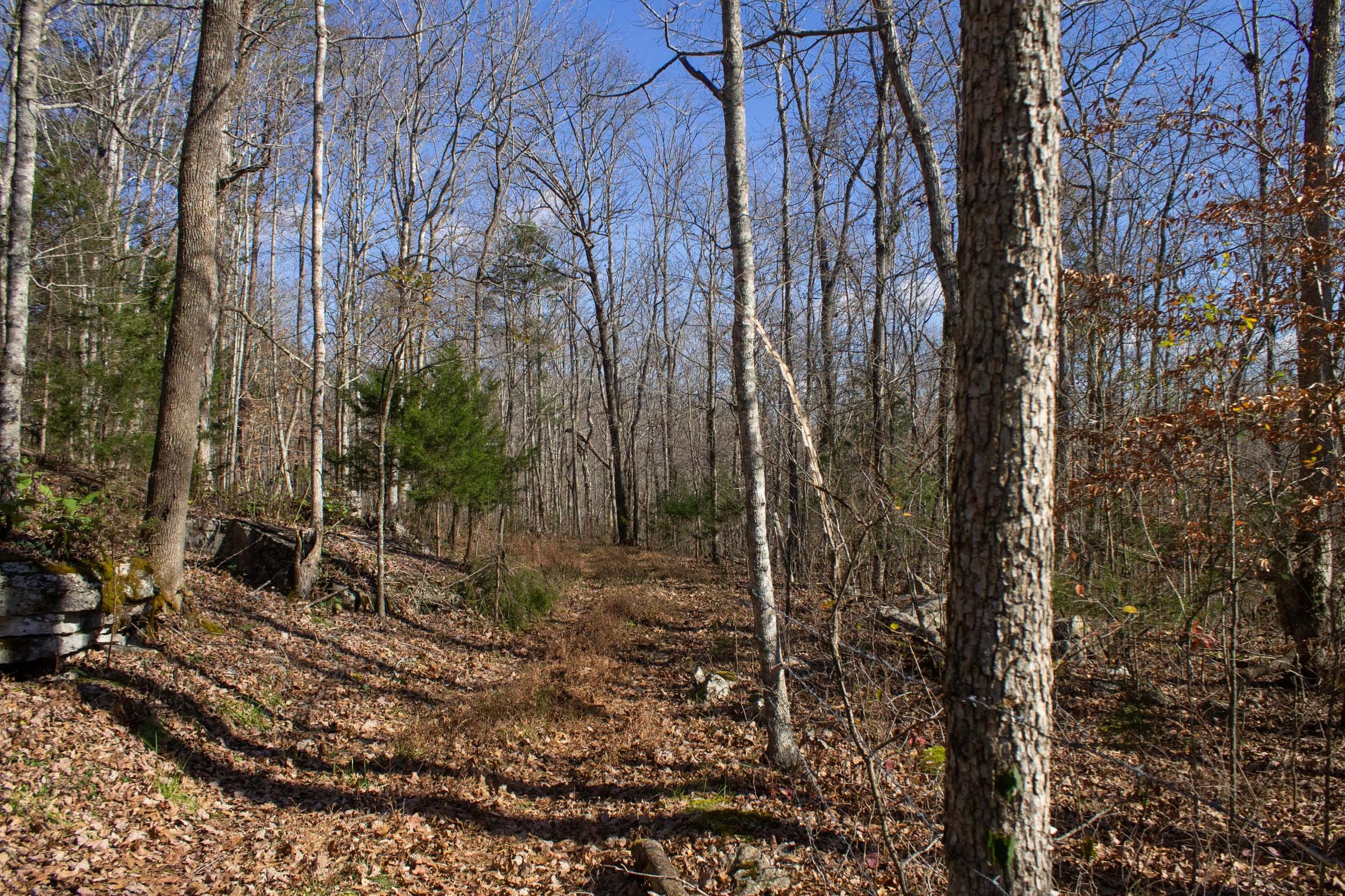 The Cliffs Tract 5 photo 1