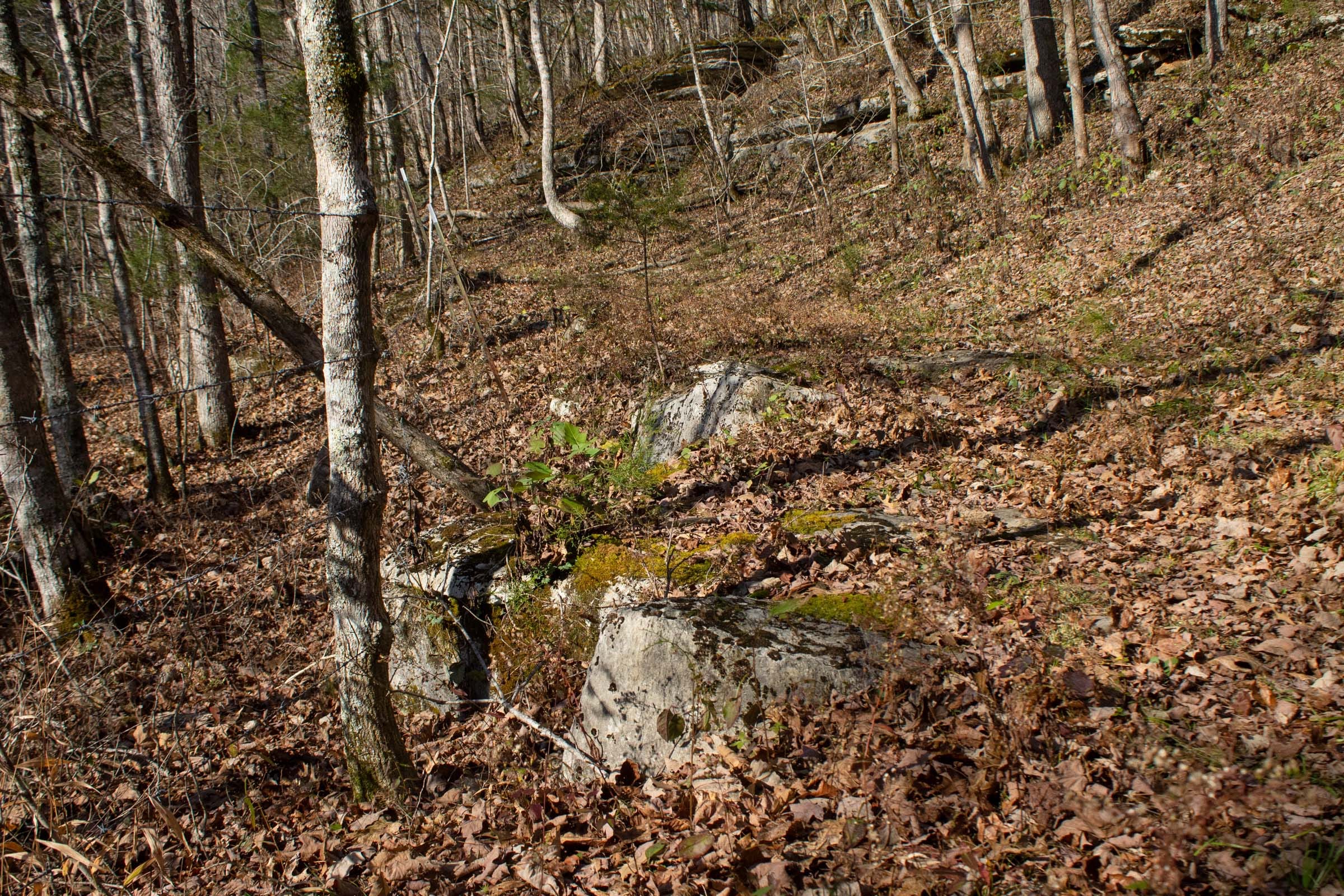 The Cliffs Tract 5 photo 6