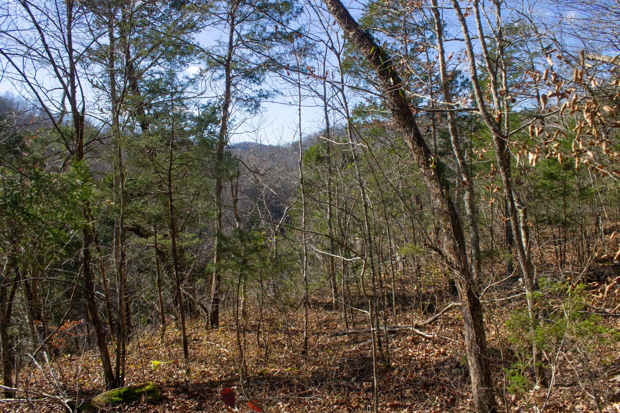 The Cliffs Tract 5 photo 7
