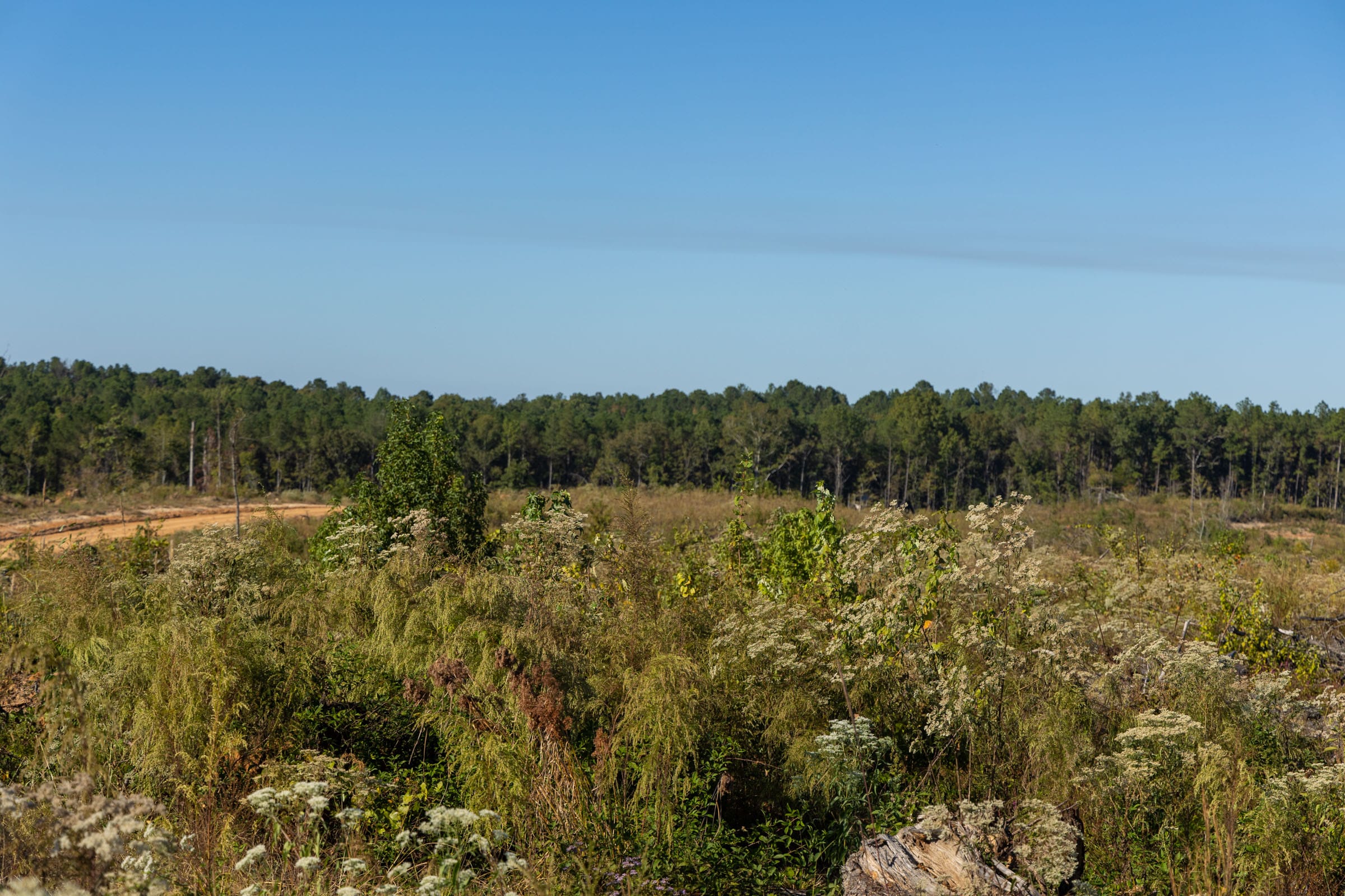Meyer’s Ridge Tract 10 photo 11