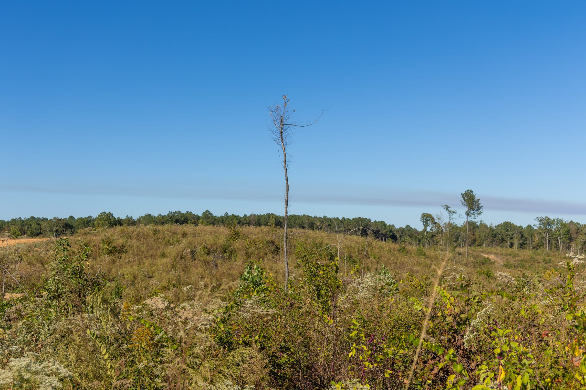 Meyer’s Ridge Tract 10 photo 10