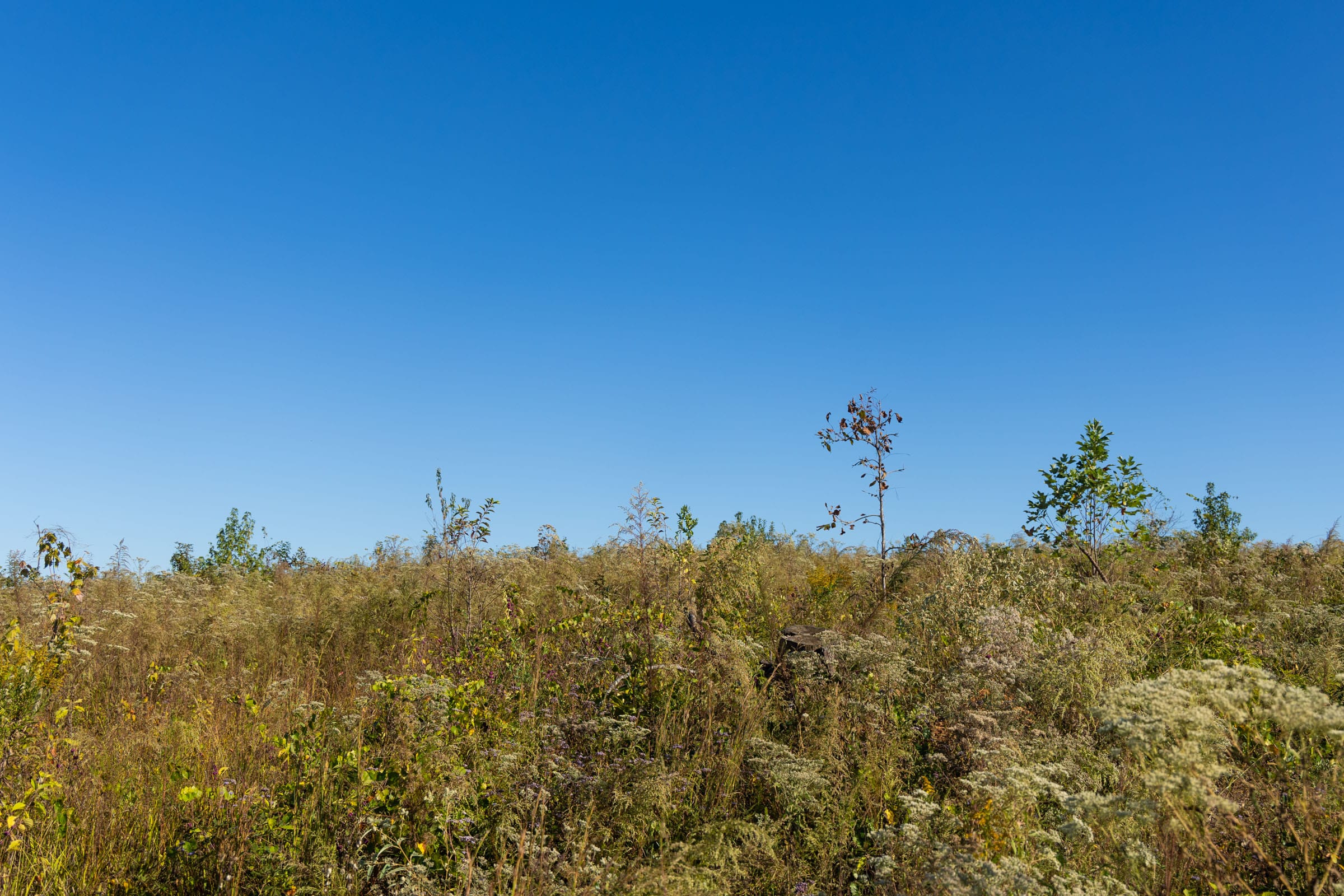 Meyer’s Ridge Tract 10 photo 9