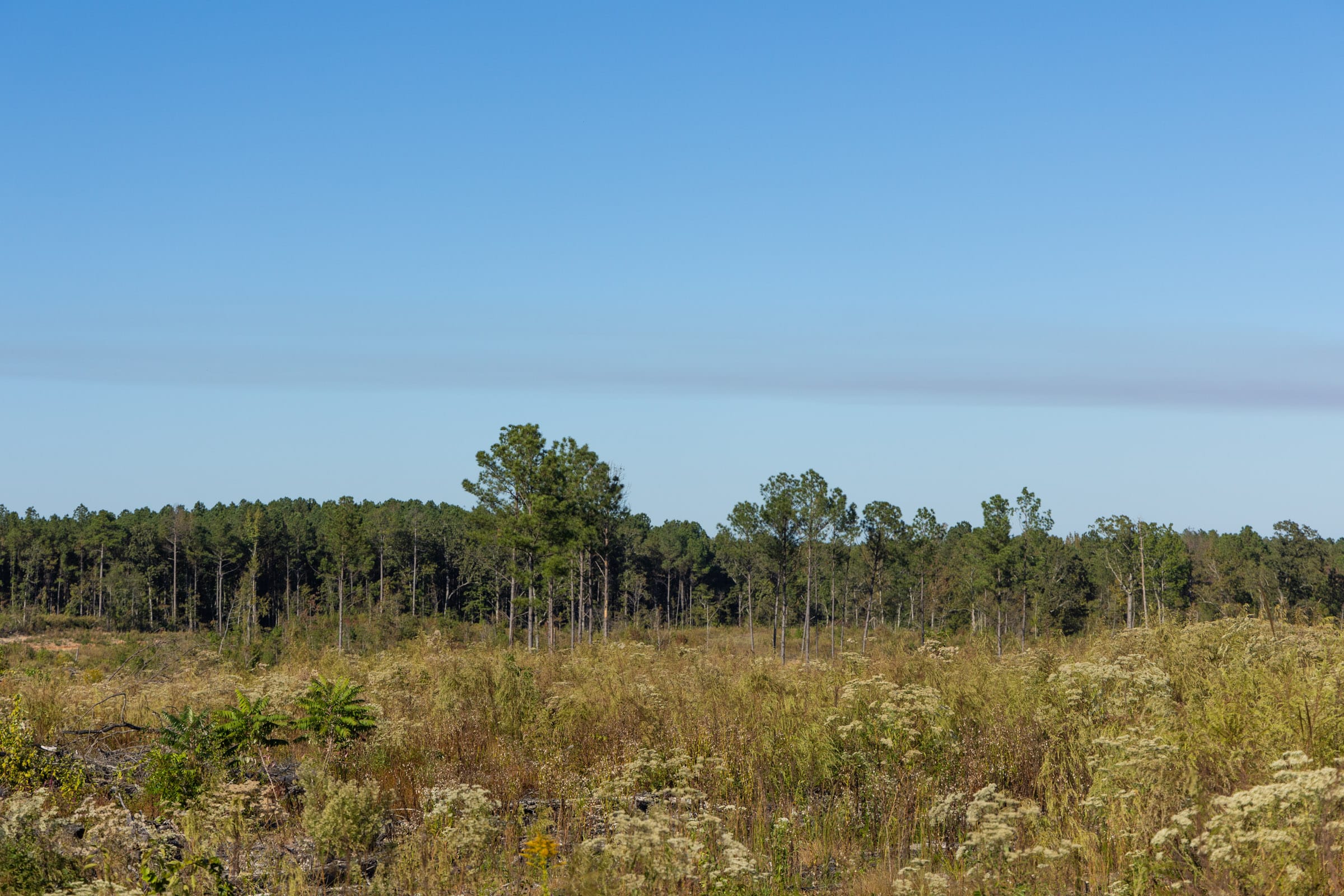 Meyer’s Ridge Tract 10 photo 5