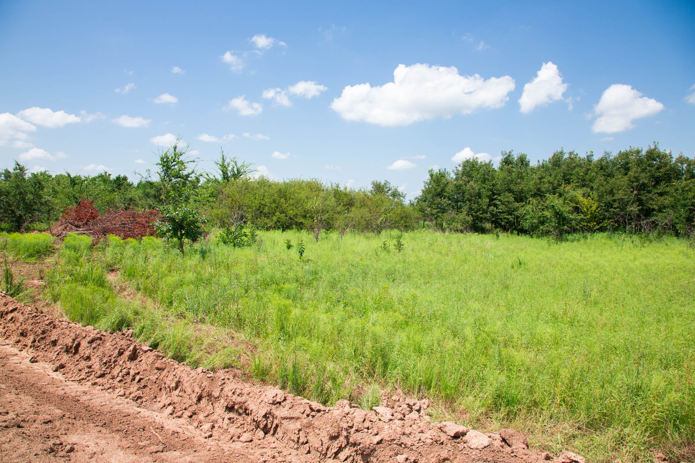 Deep Fork Ranch Tract 20 photo 1