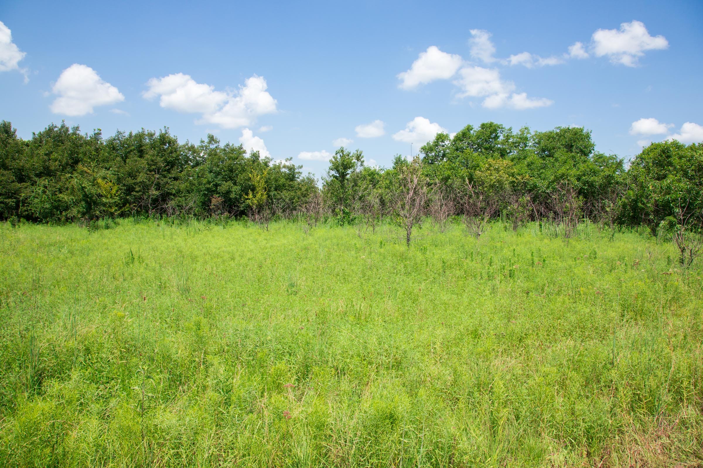 Deep Fork Ranch Tract 20 photo 3