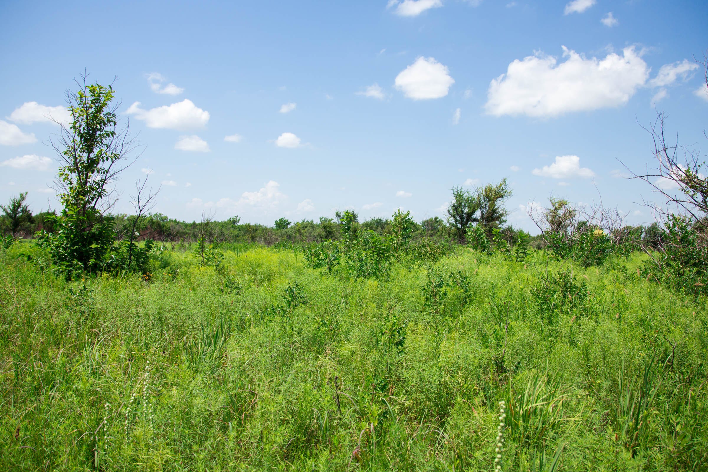 Deep Fork Ranch Tract 20 photo 11