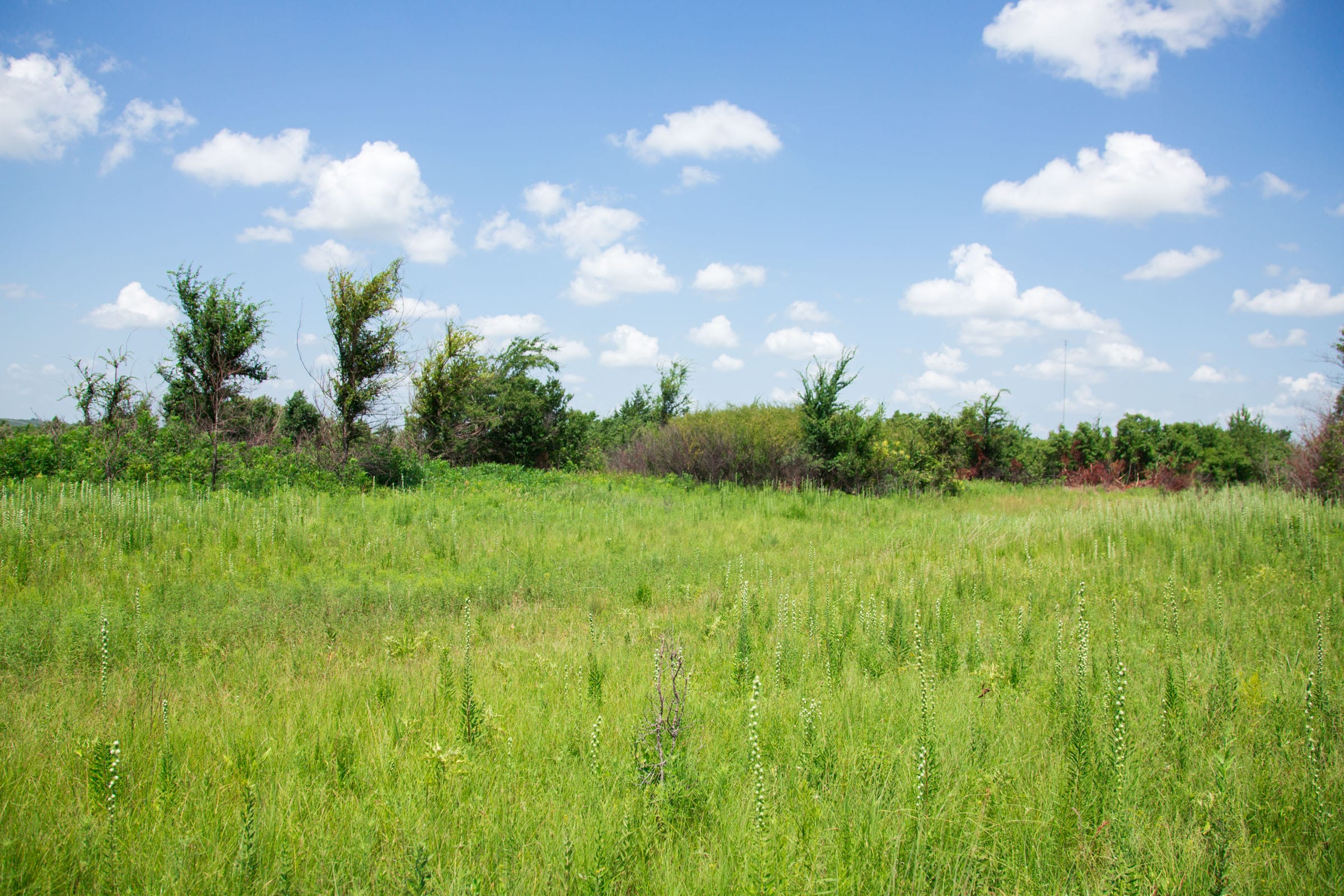 Deep Fork Ranch Tract 20 photo 12
