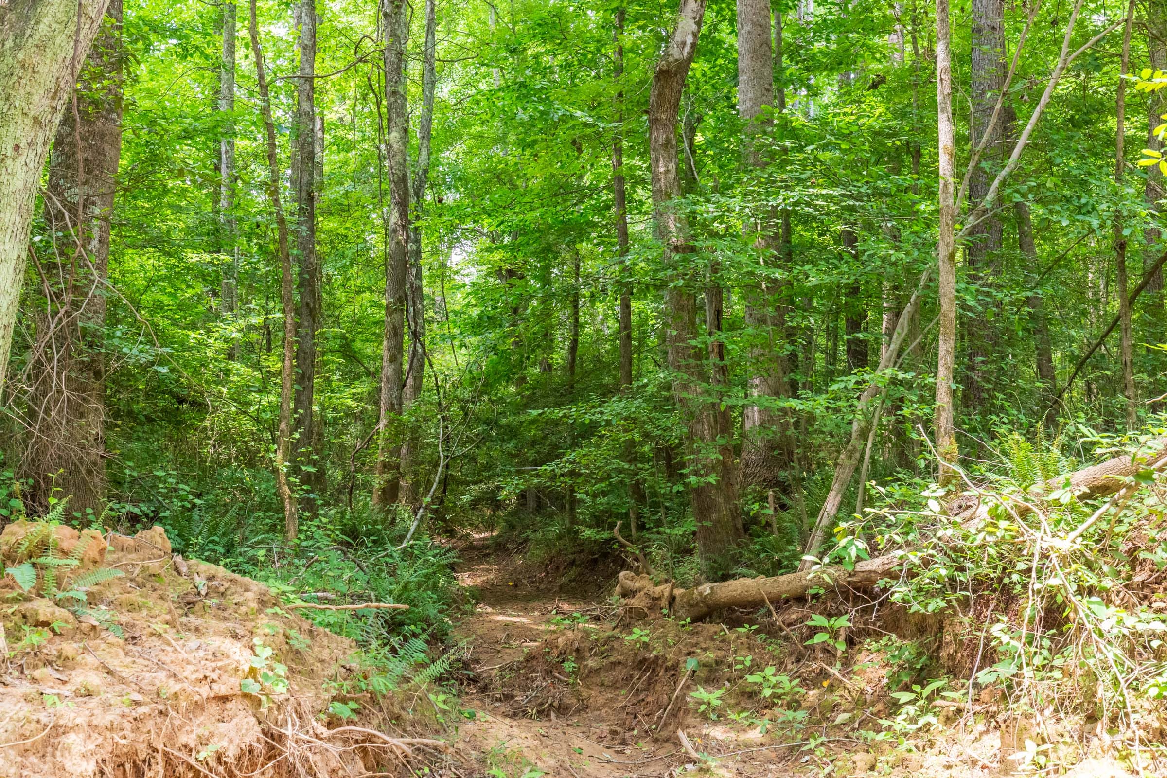Whiskey Ridge Tract 99 photo 5