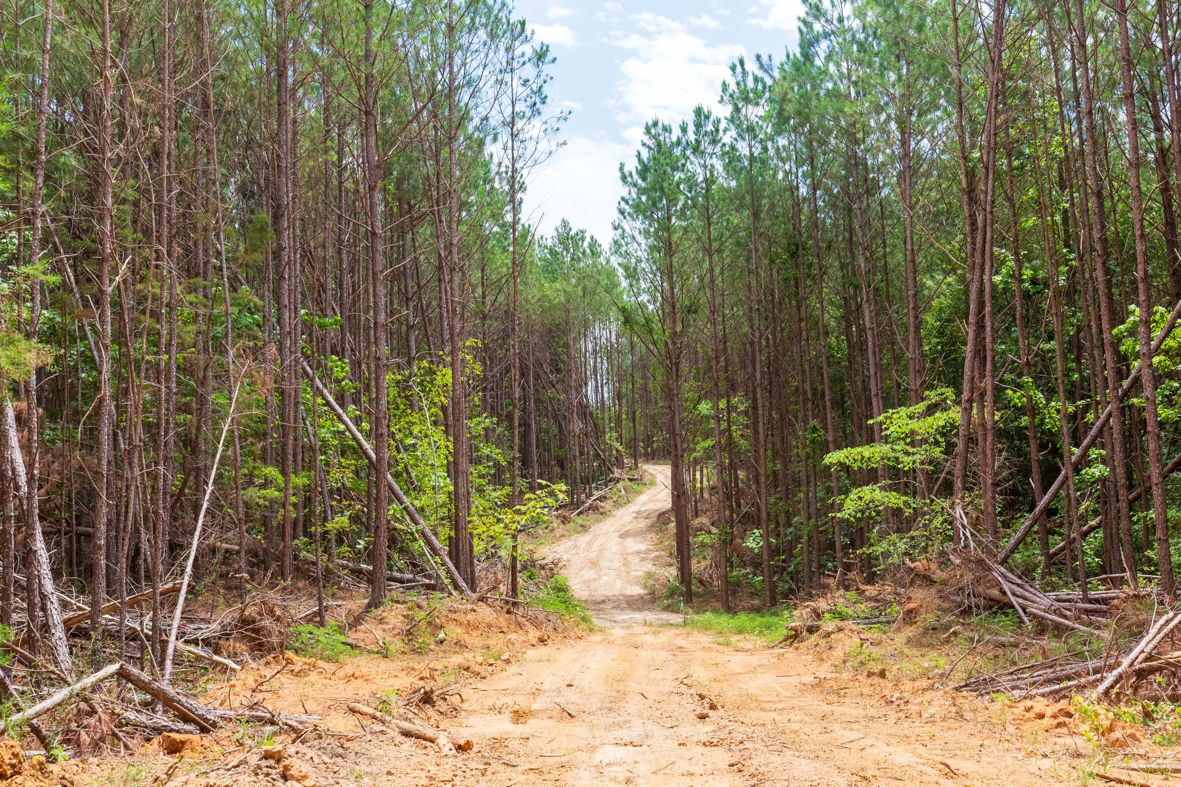 Whiskey Ridge Tract 99 photo 9