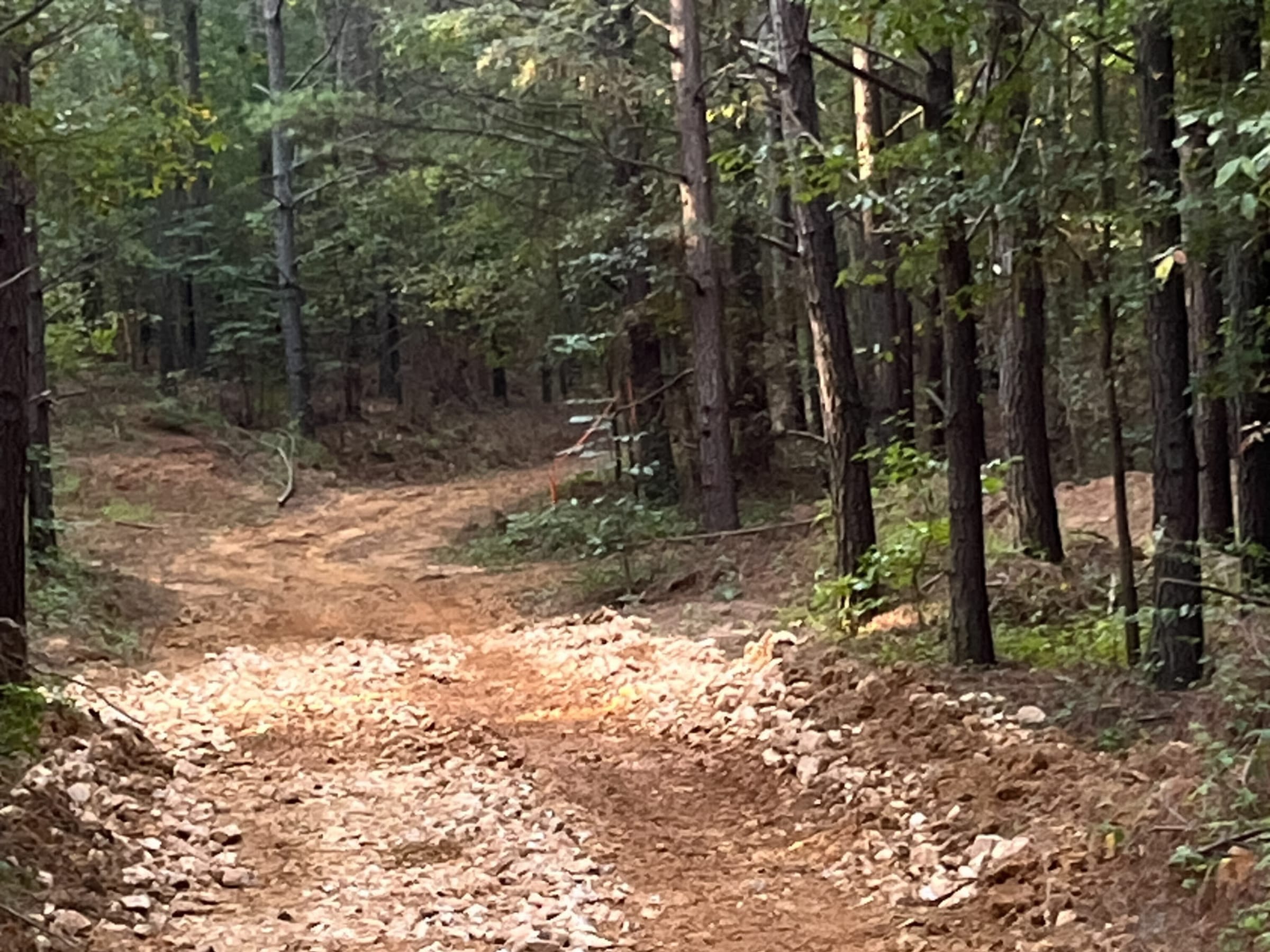 Whiskey Ridge Tract 99 photo 10