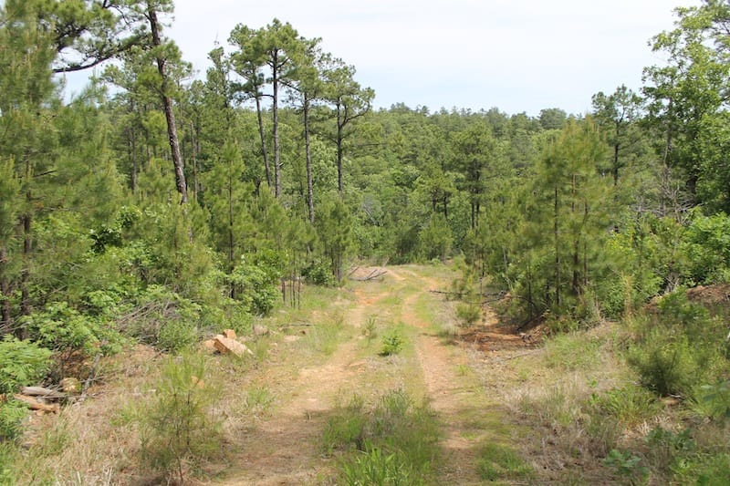 Indian Ridge – Phase II Tract 75 photo 1