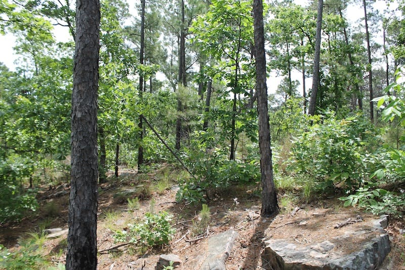 Indian Ridge – Phase II Tract 75 photo 2