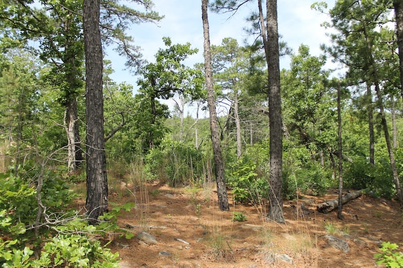 Indian Ridge – Phase II Tract 75 photo 9