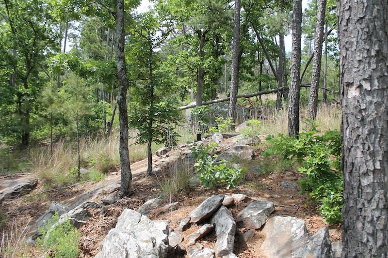 Indian Ridge – Phase II Tract 75 photo 10
