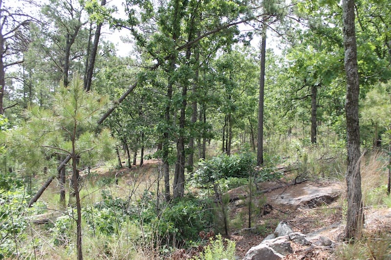 Indian Ridge – Phase II Tract 75 photo 11