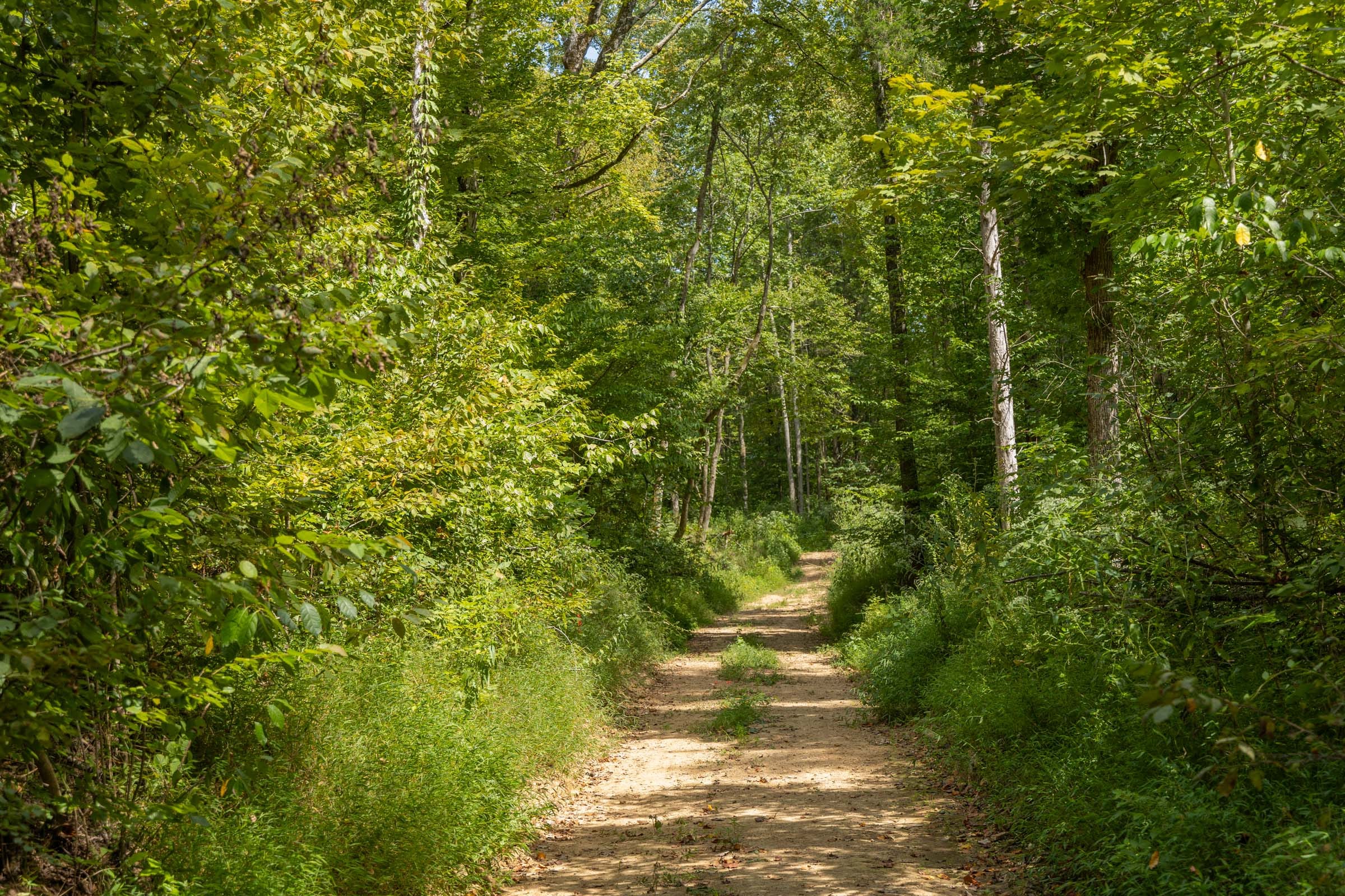 Big White Oak Tract 138 photo 11