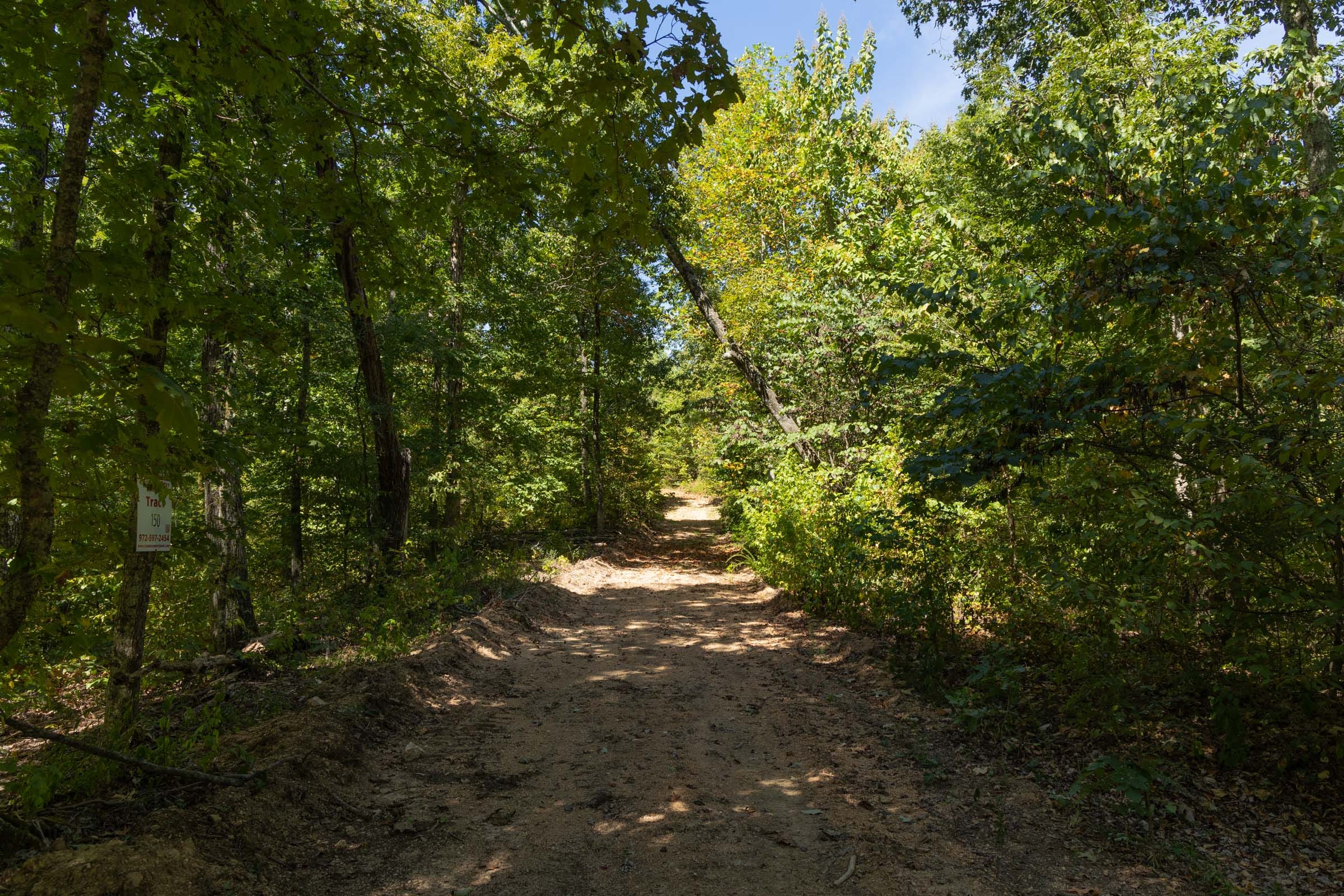 Big White Oak Tract 138 photo 5