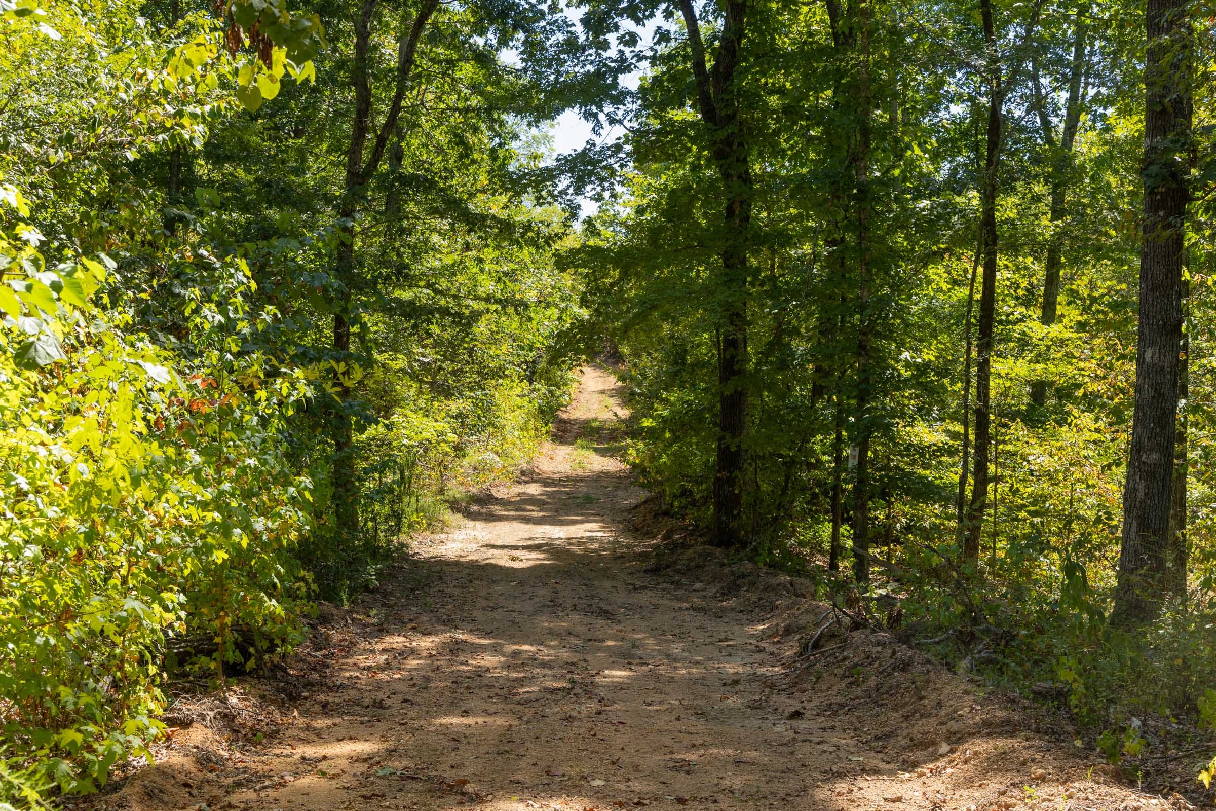 Big White Oak Tract 138 photo 1