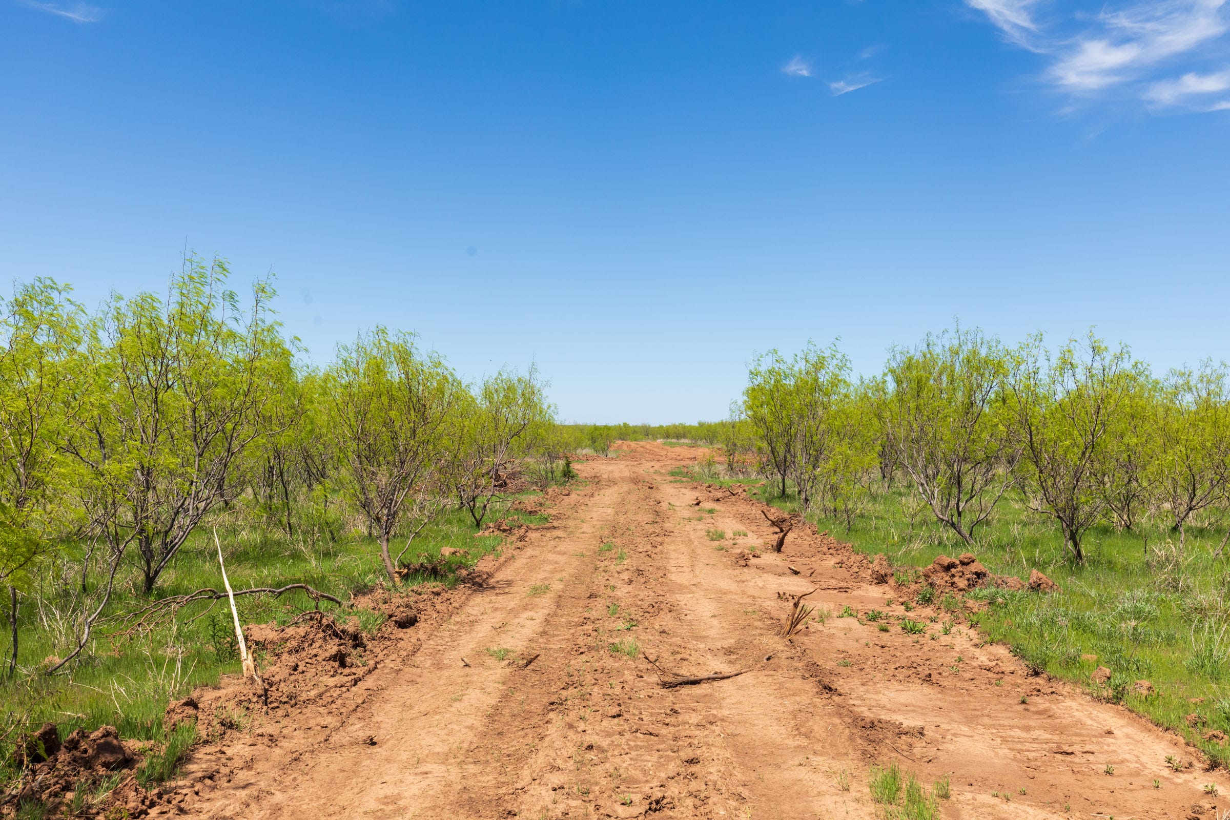 Hackberry Fields Tract 3 photo 2