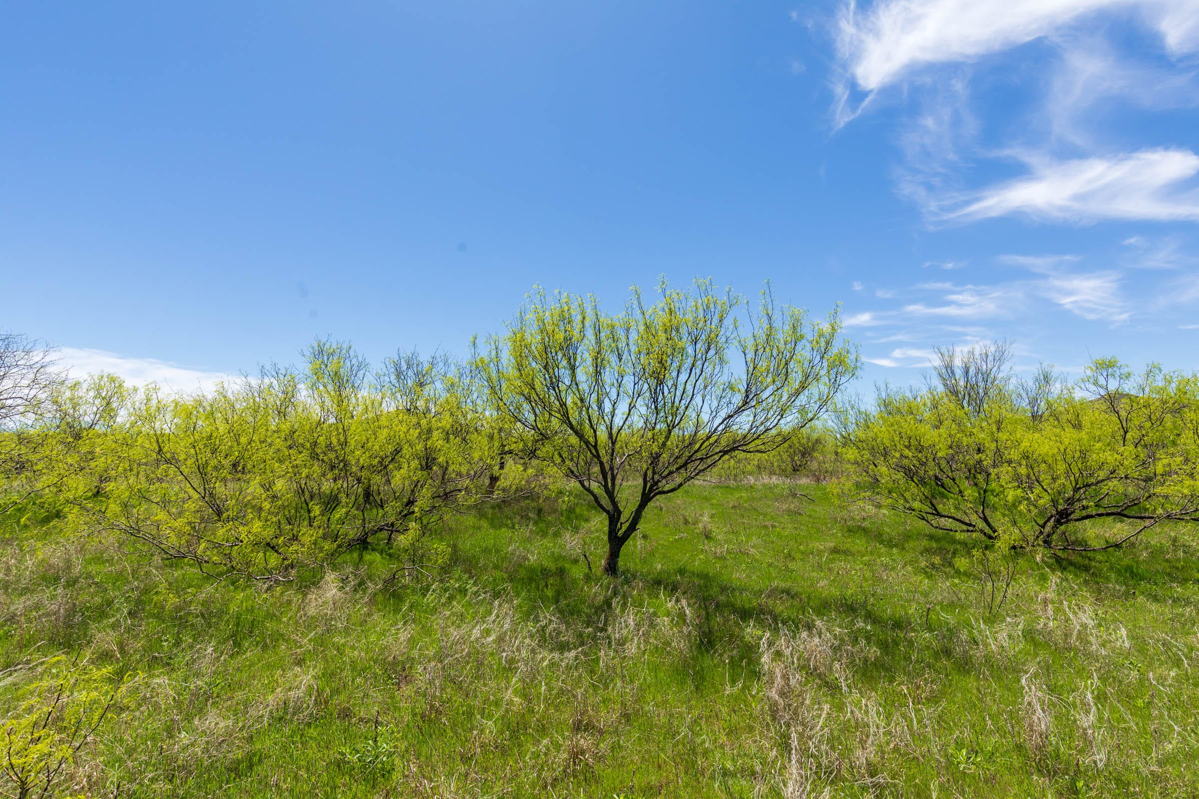 Hackberry Fields Tract 3 photo 1