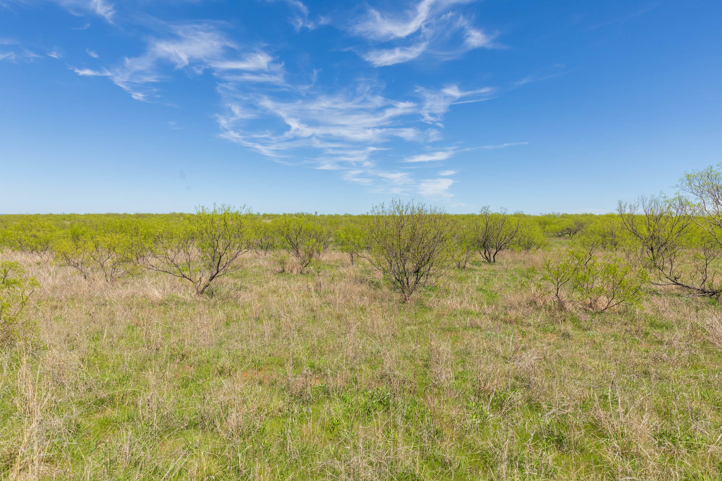 Hackberry Fields Tract 3 photo 4