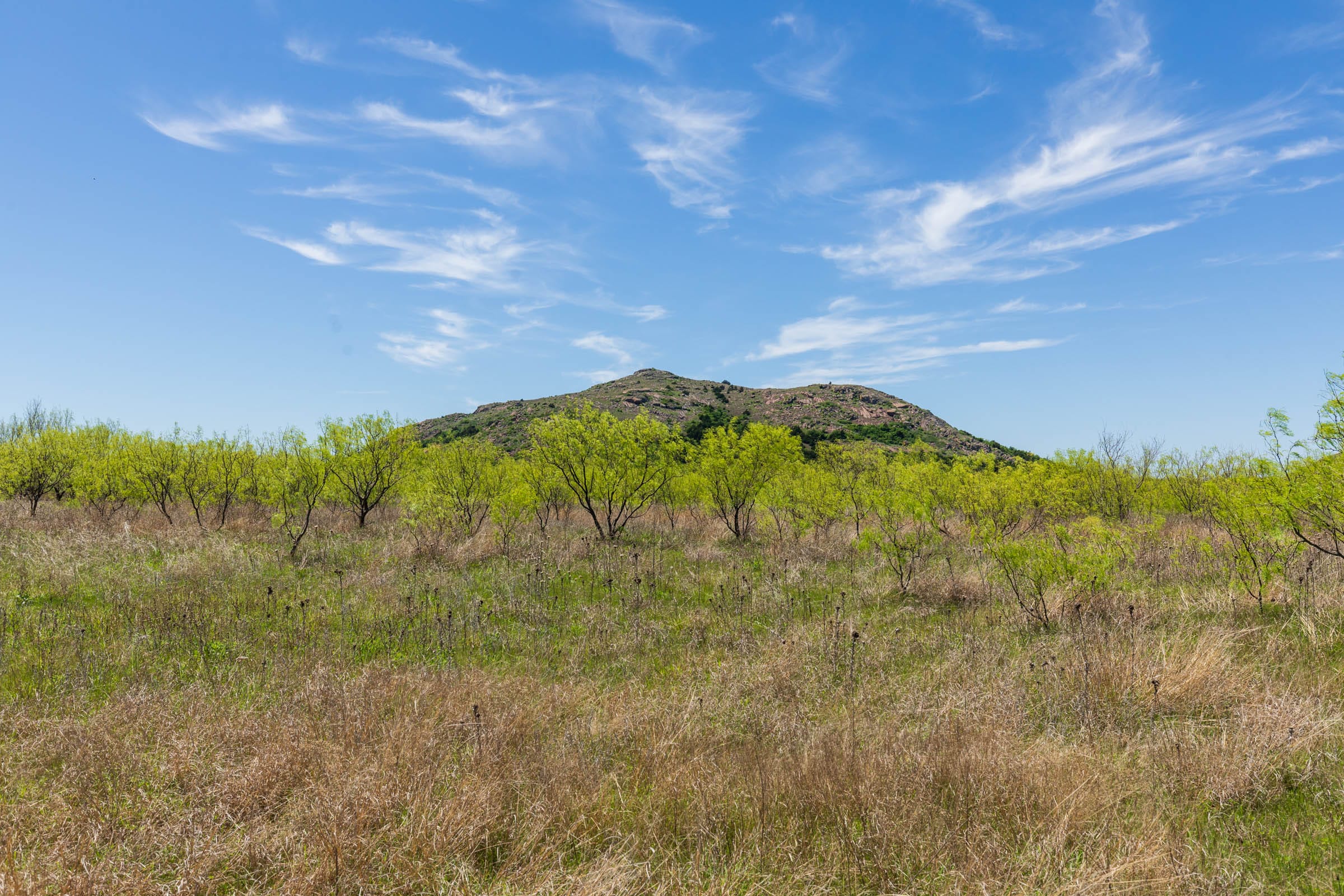Hackberry Fields Tract 3 photo 3