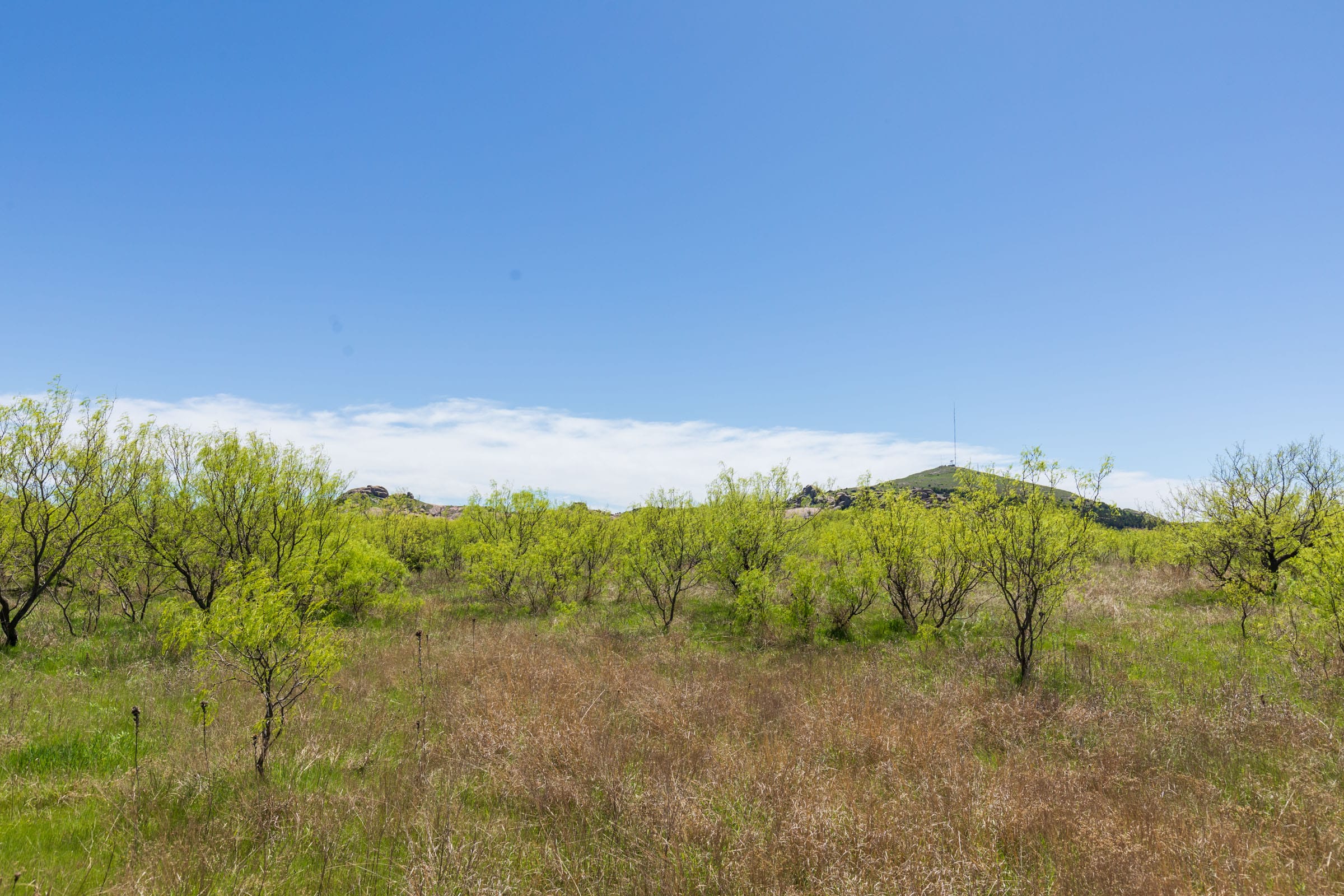 Hackberry Fields Tract 3 photo 10