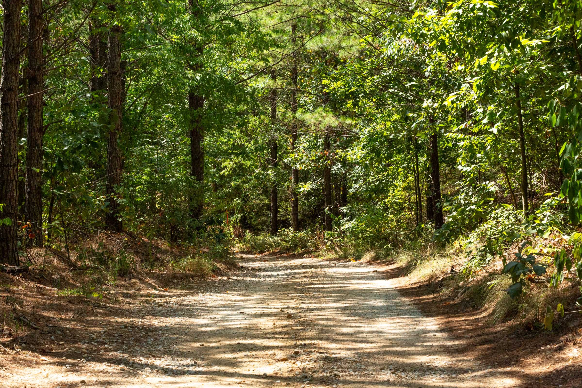 Harvest Ridge Tract 12 photo 9