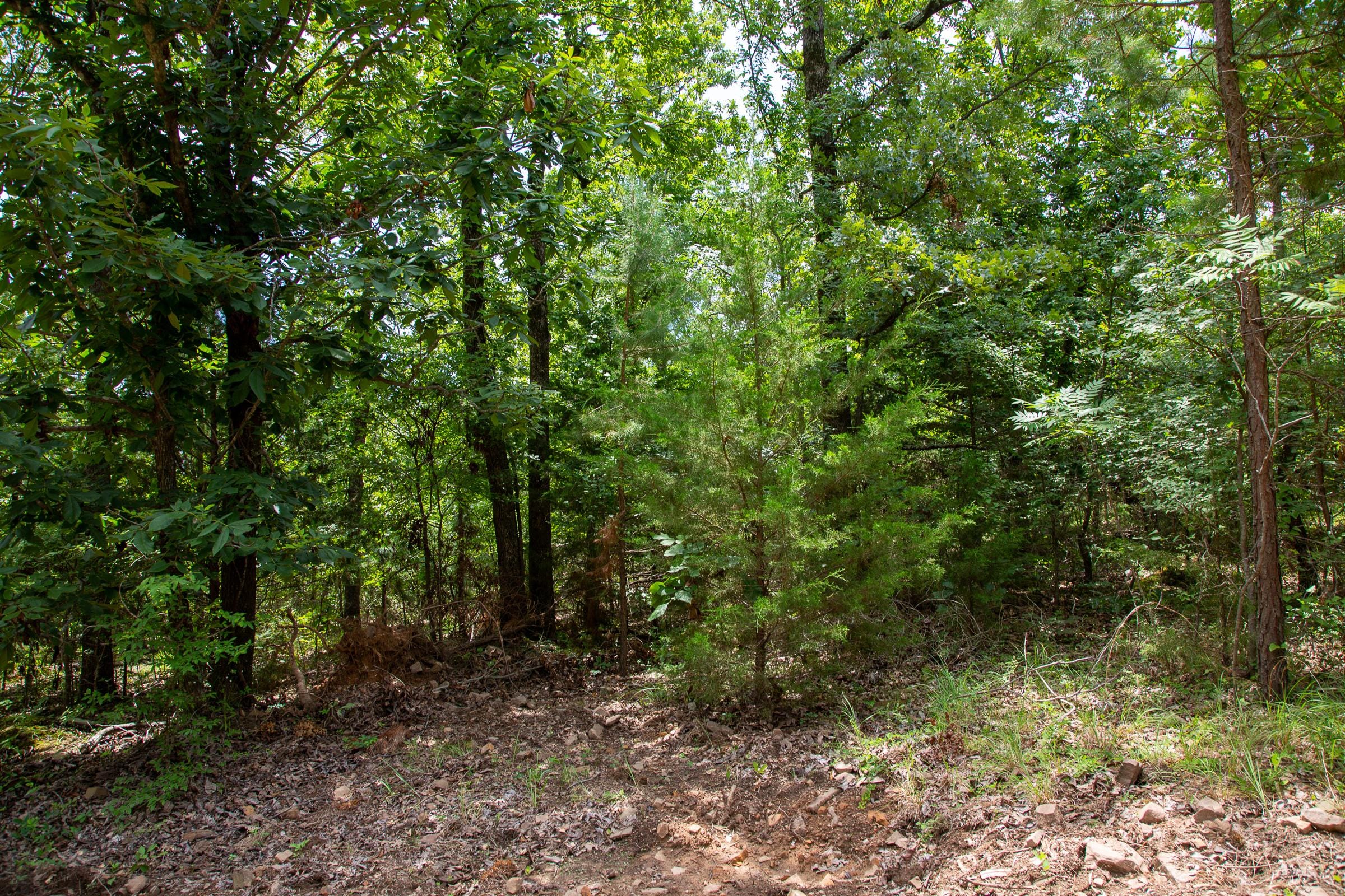 Tyler Stone Ranch Tract 63 photo 4