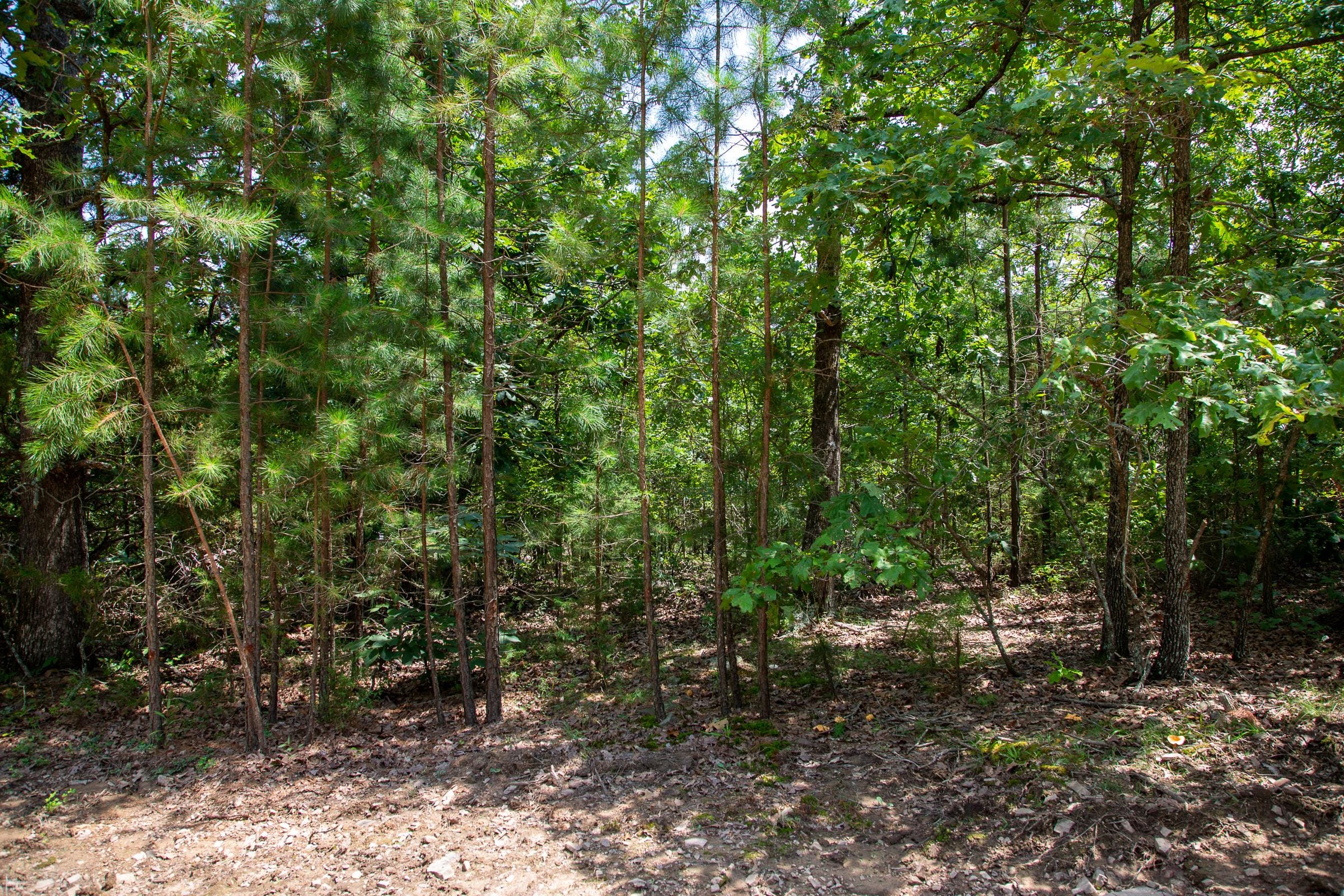 Tyler Stone Ranch Tract 63 photo 7